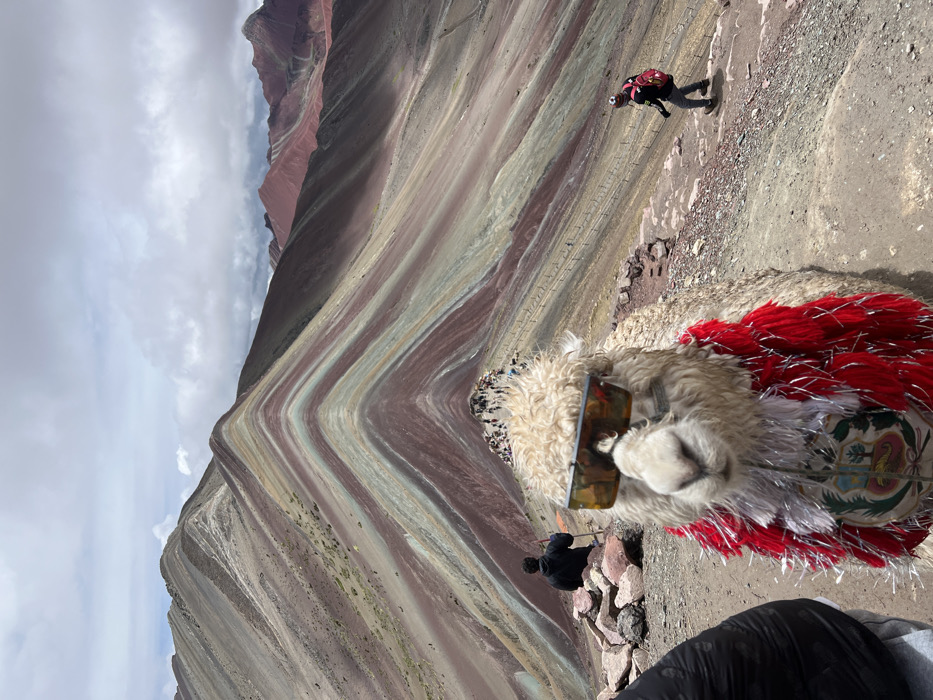 Sunglasses-wearing llama spotted at Peru's Rainbow Mountain