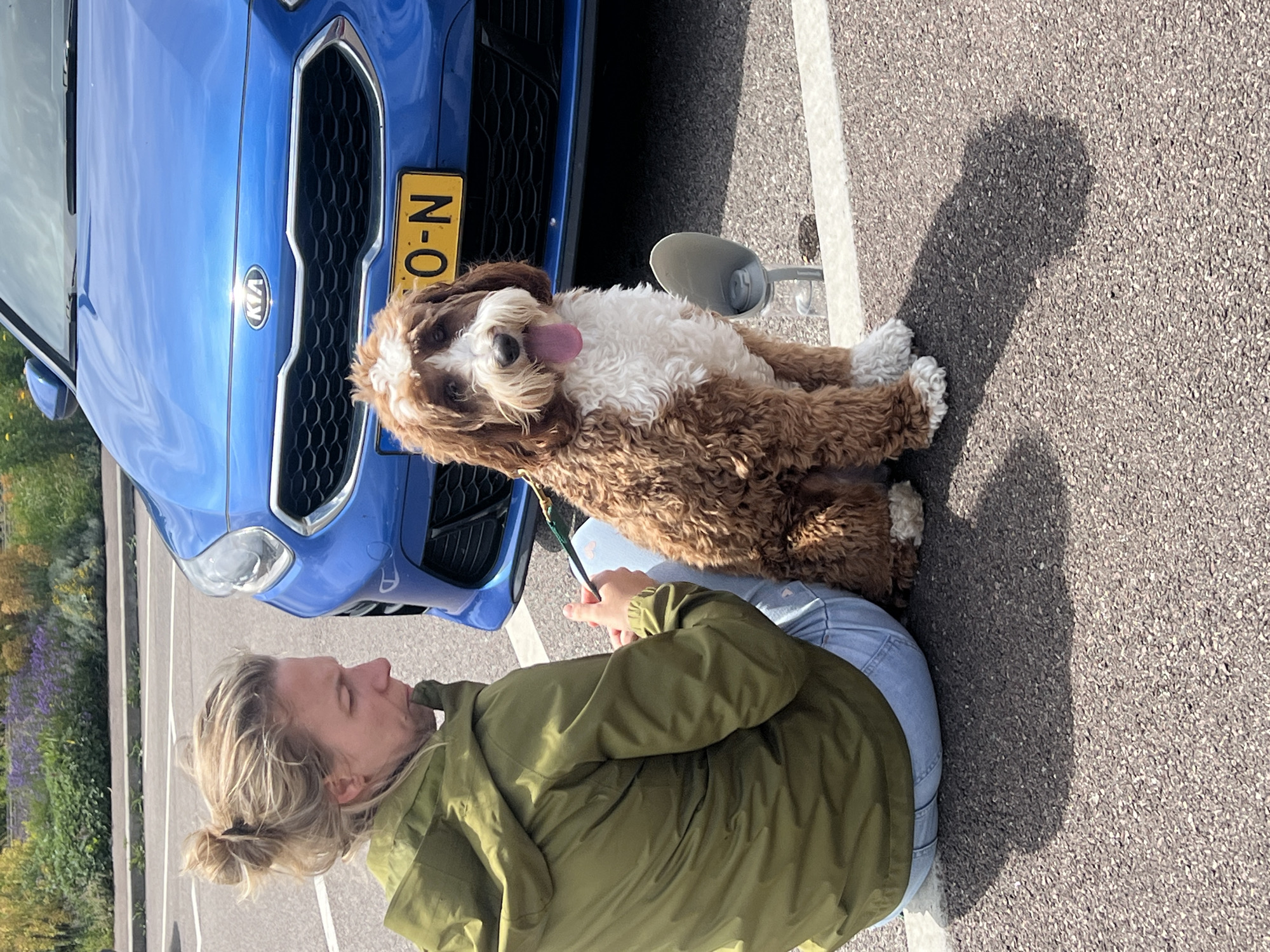 Woman with dog observed in Bosgouet parking area