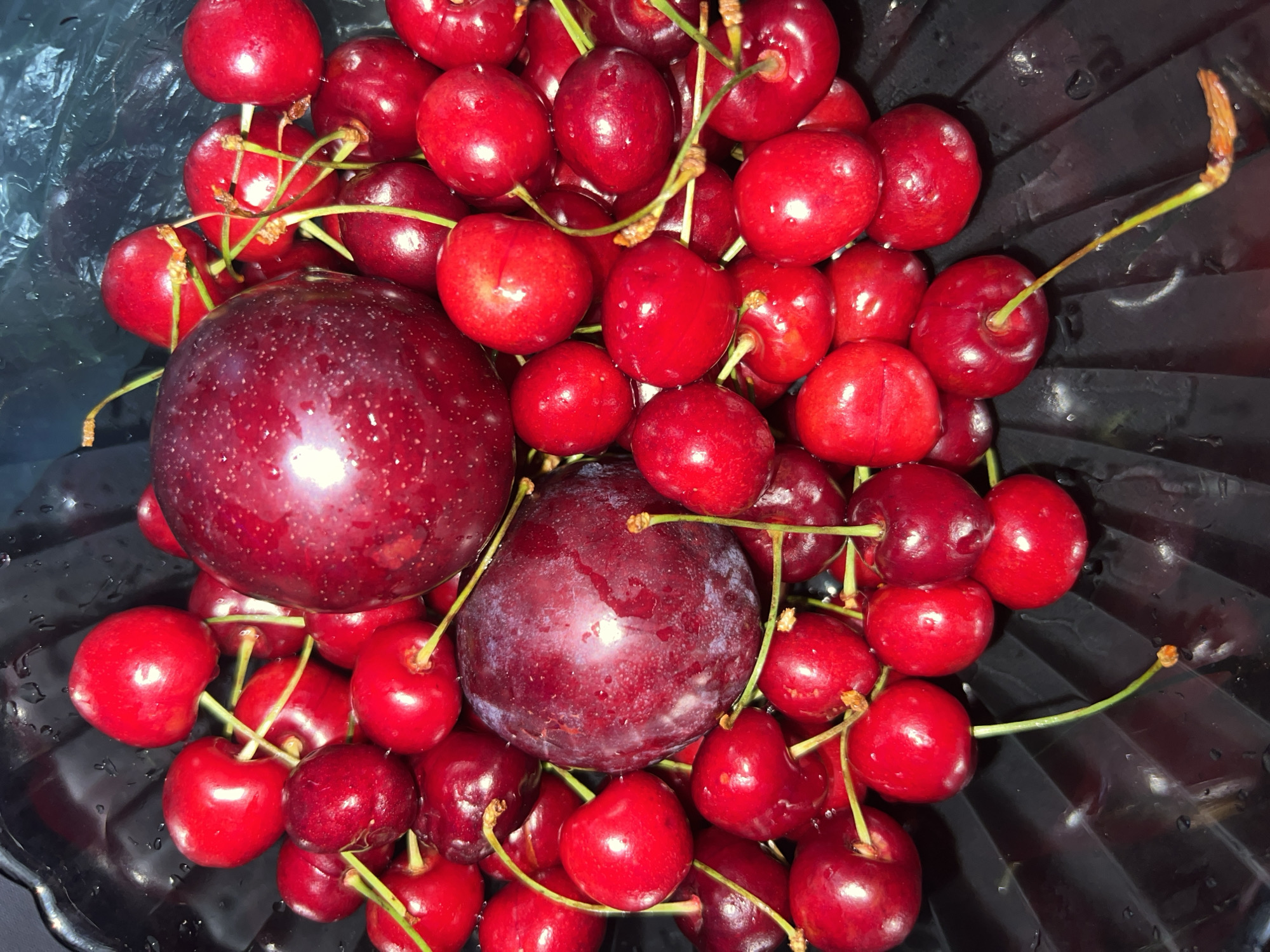 Fresh fruit displayed in container documented in Sinyavino, Russia