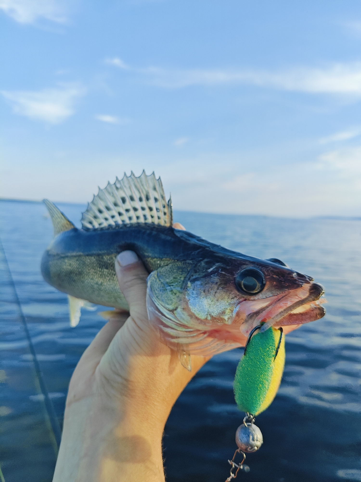 Fishing for walleye and perch on quiet Russian waters