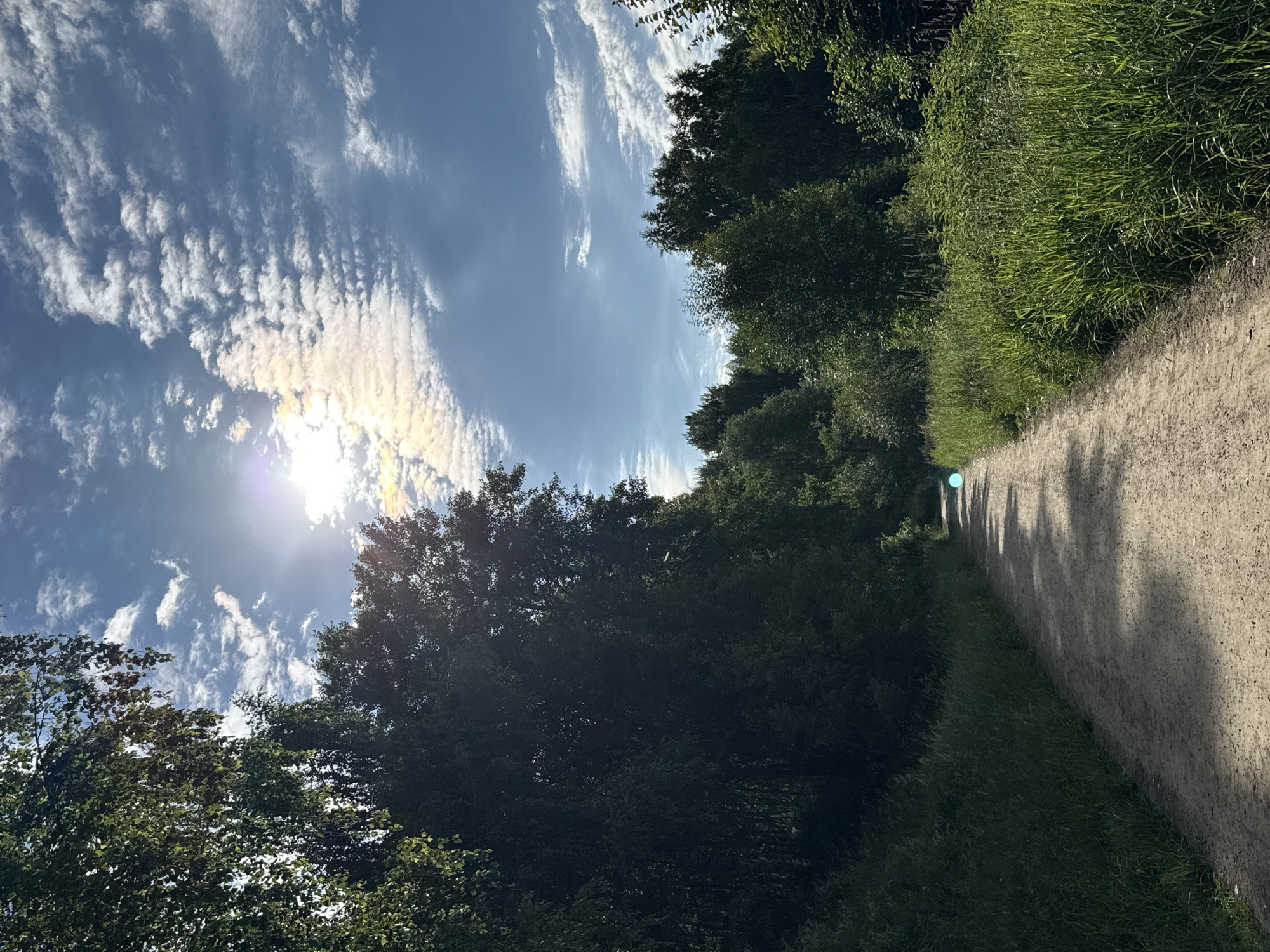 Sunny morning stroll through a lush Moscow park