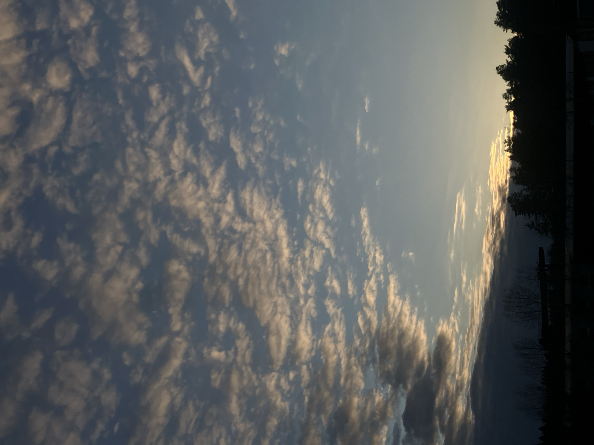 Sunset documented along road in Noviy, Russia