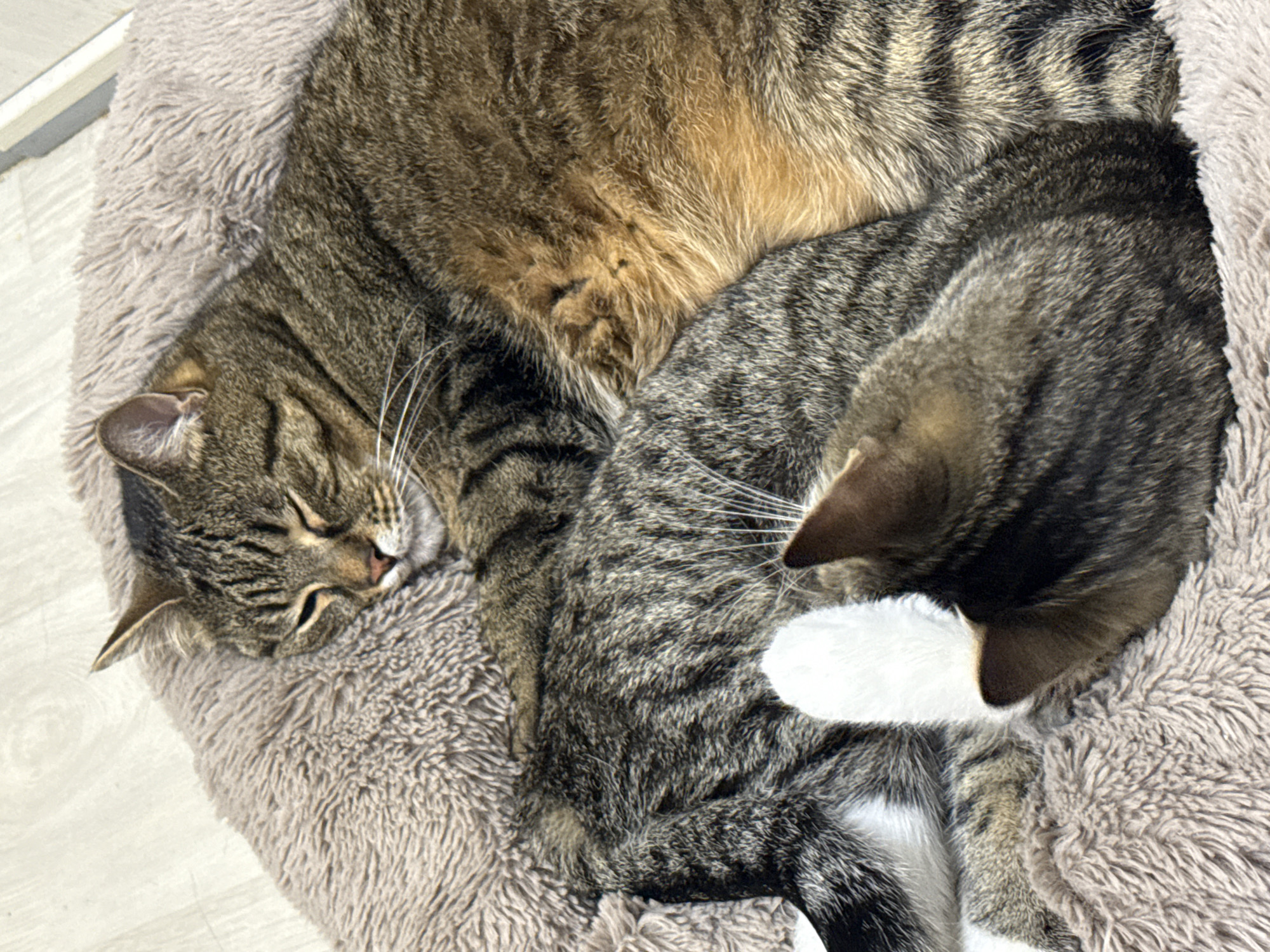 Event