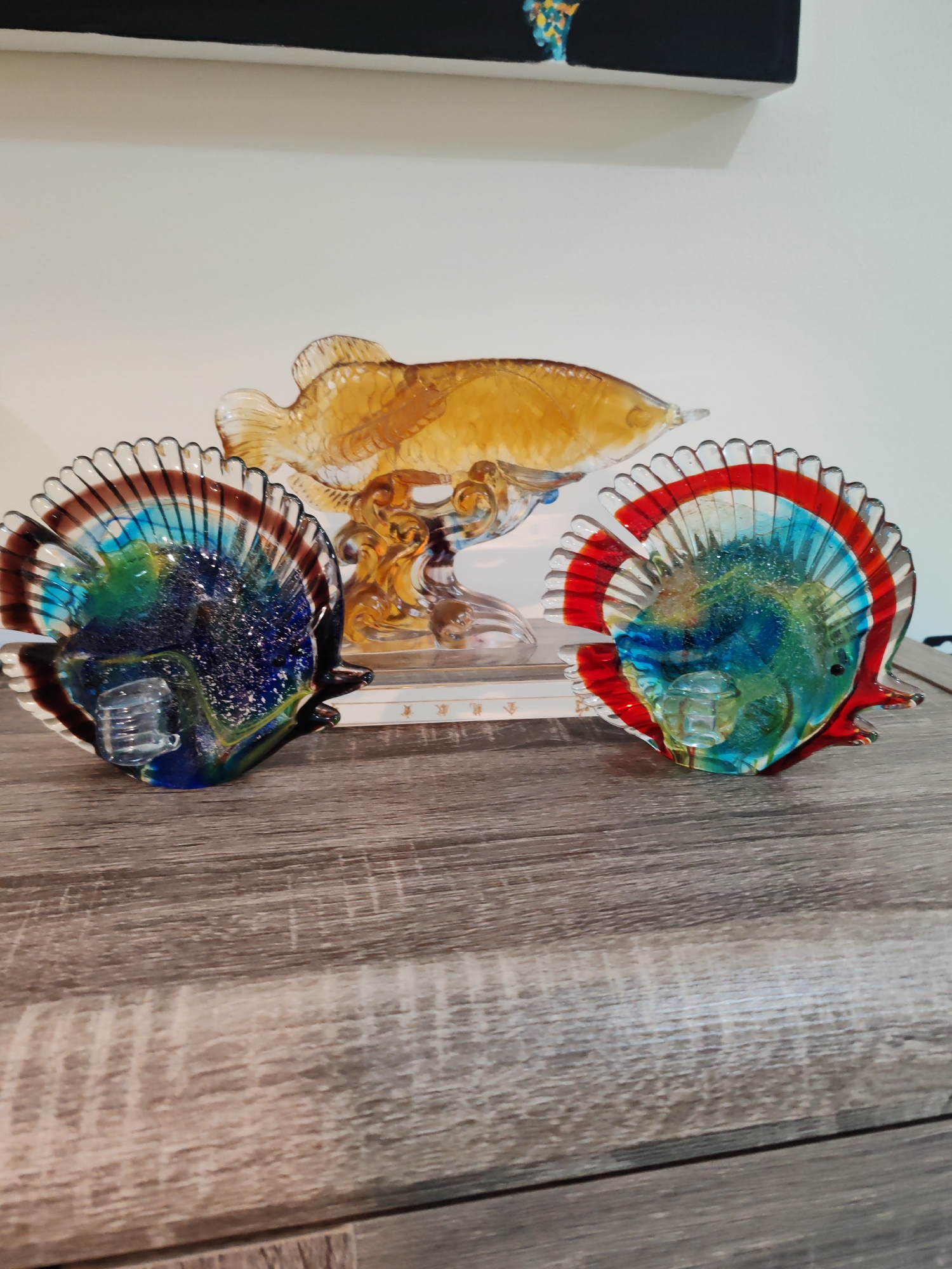 Dubai cats documented during feeding time alongside decorative glass collection