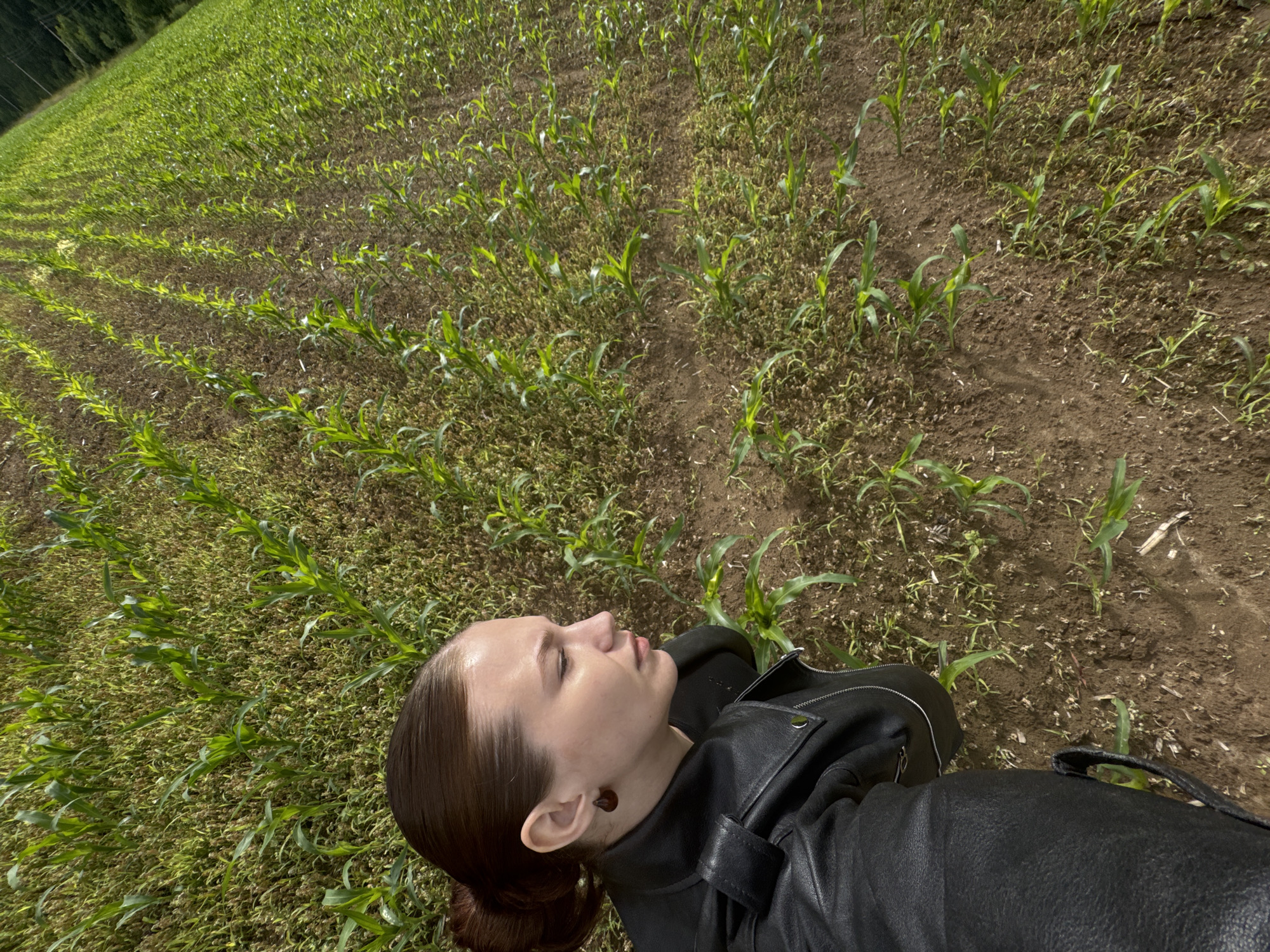 Portrait shoot in a Russian cornfield on a cloudy summer day