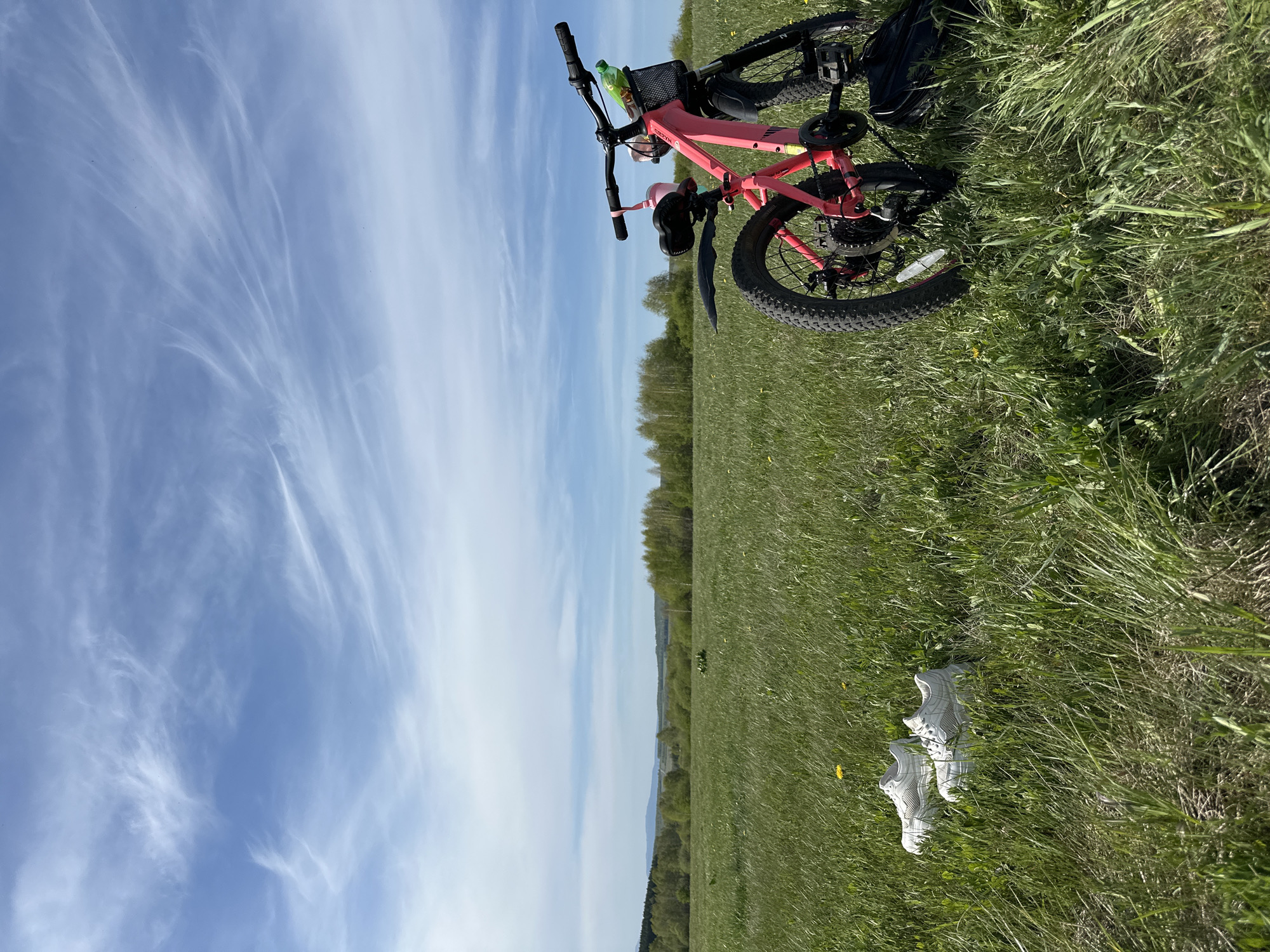Spring day gathering in rural meadow with bikes, relaxation