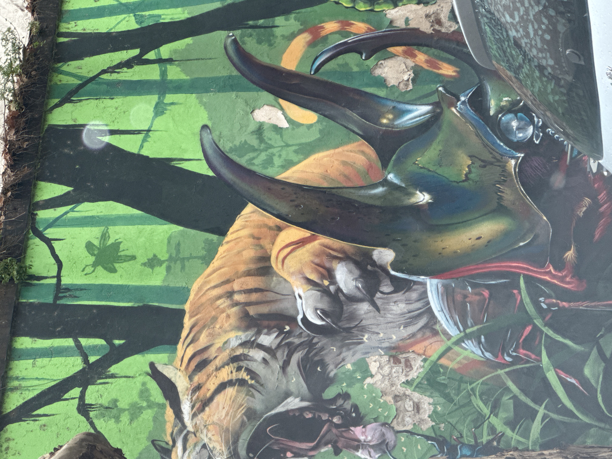 Wildlife street murals spotted in Buenos Aires