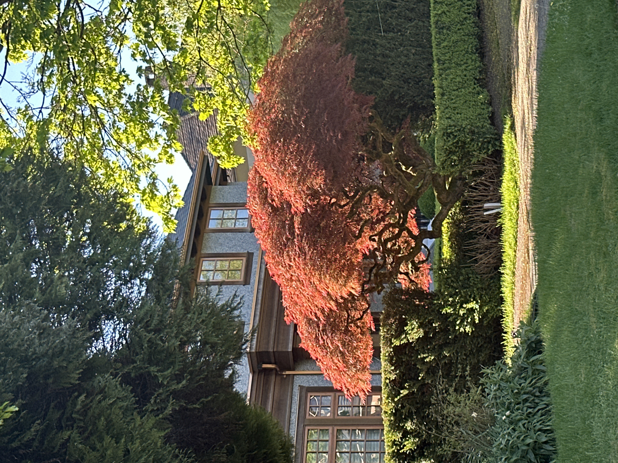 Vancouver Residents Document Neighborhood Houses During Late Night Hours
