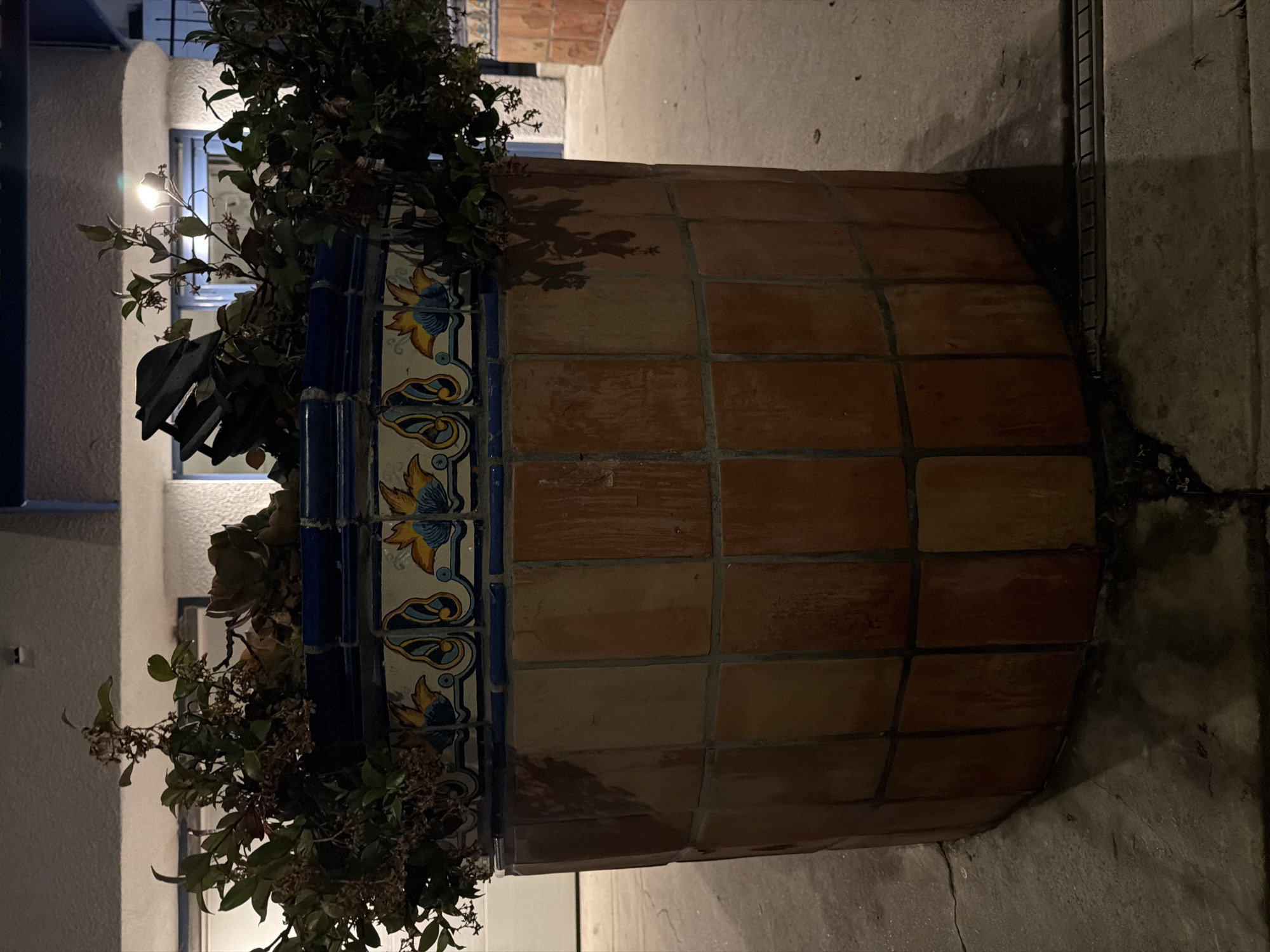 Late-night stroll through a Spanish-style neighborhood, flowers and all.