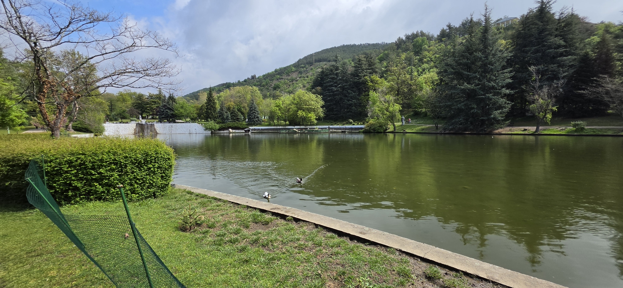 Morning park scene with waterfowl documented in Sandanski, Bulgaria