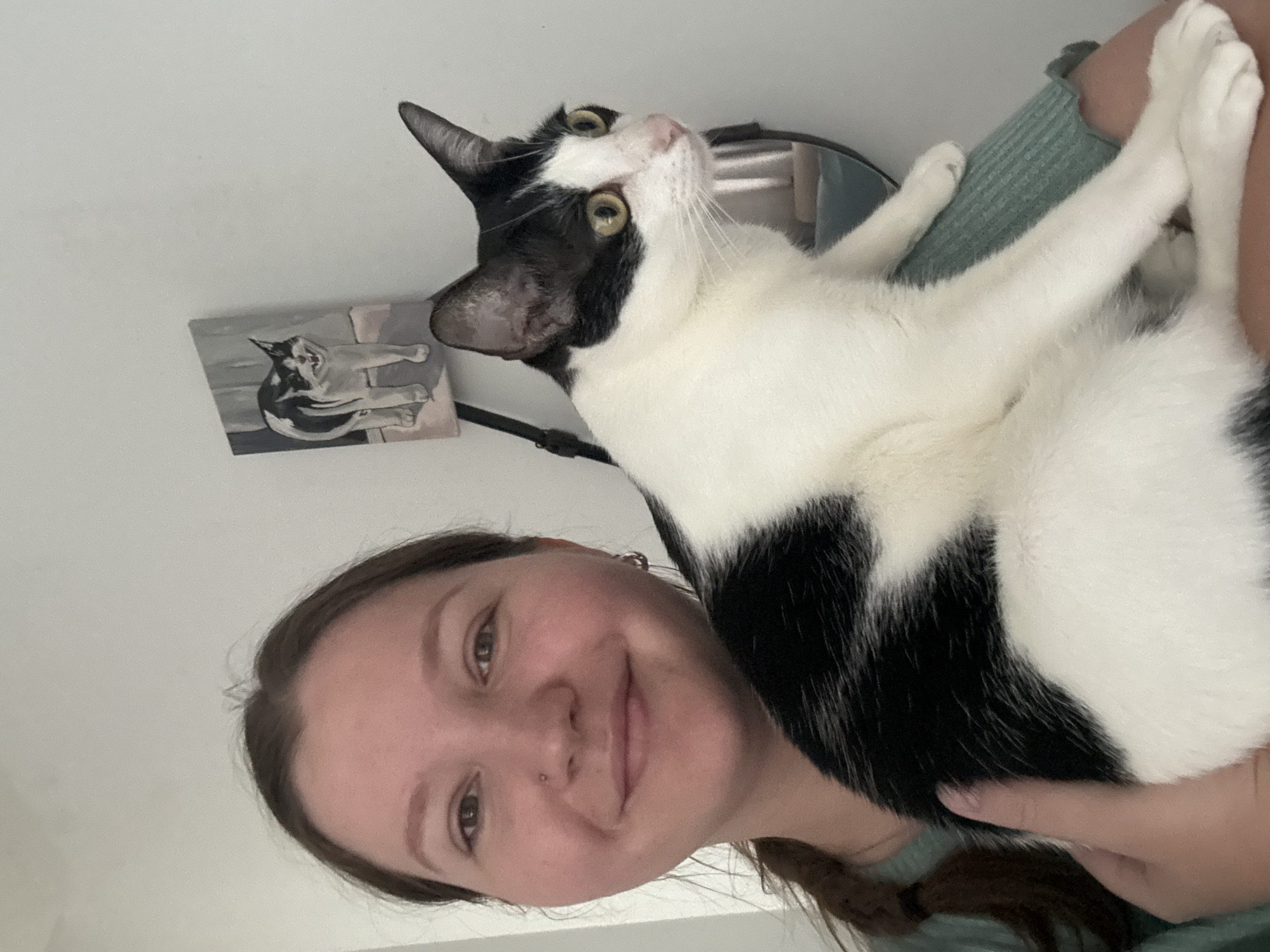 Cat enjoys quiet morning moments with owner in Đà Nẵng home