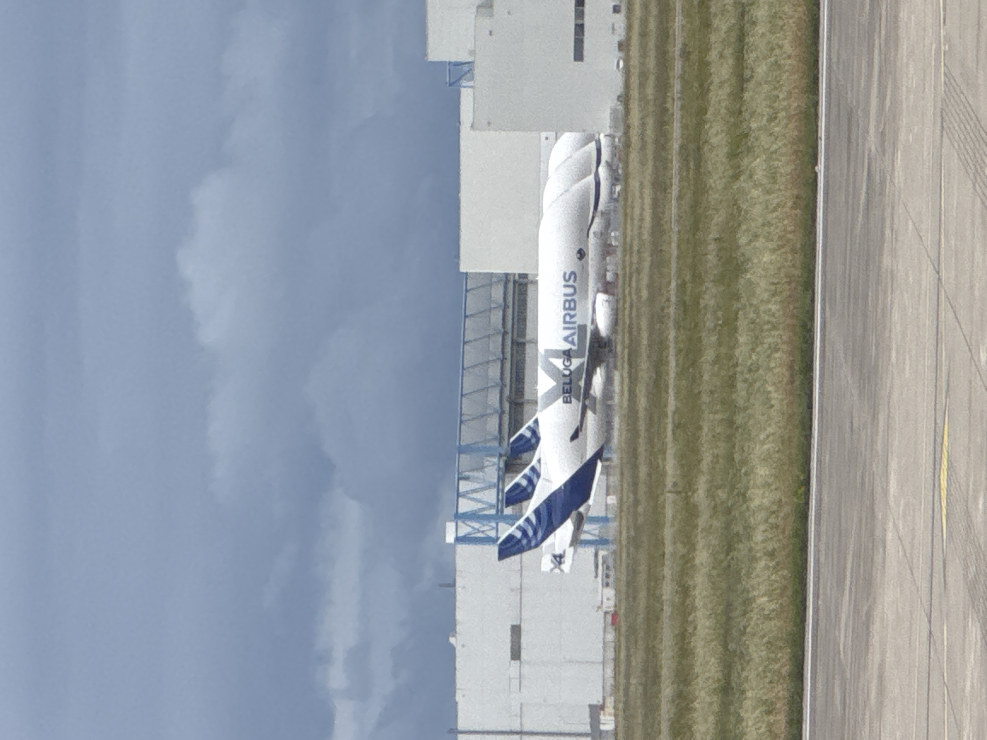 Beluga Airbus aircraft spotted on ground in Blagnac, France