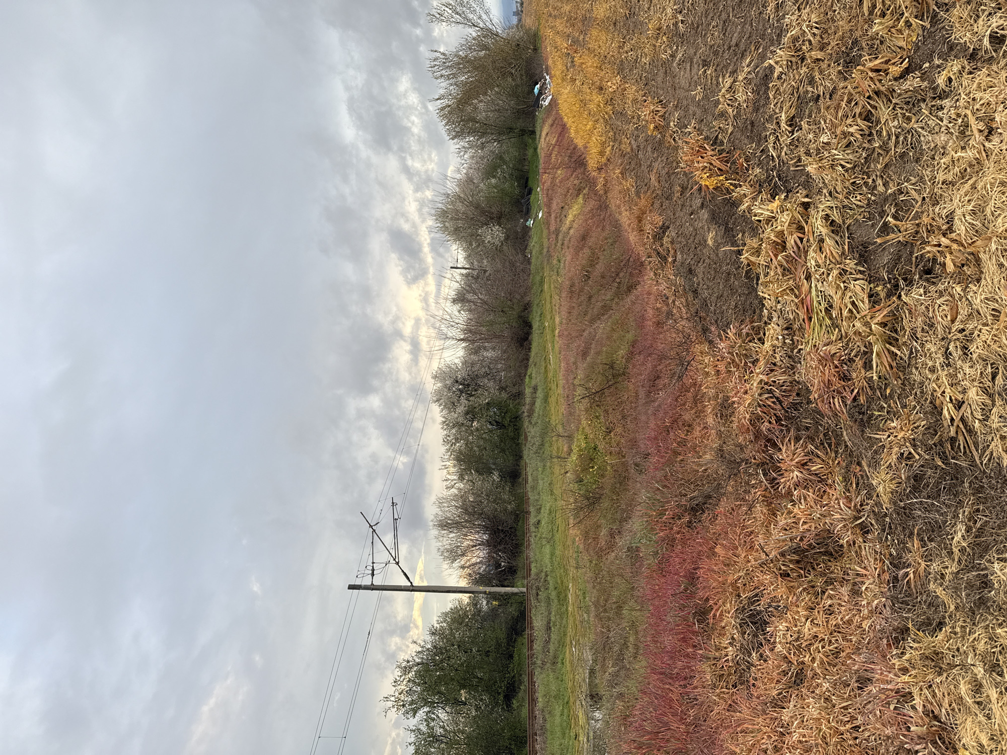 Rural landscape scenes documented in Trud, Bulgaria
