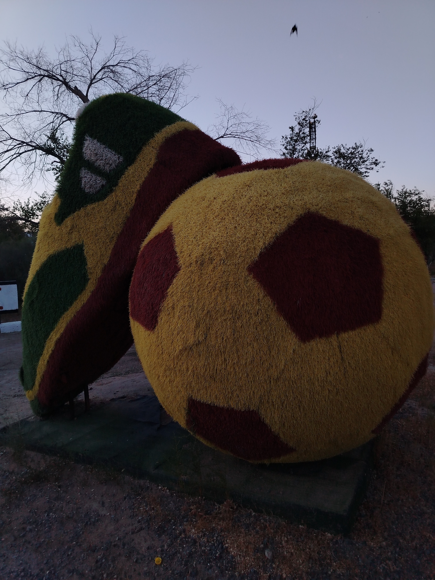Evening around Baikonur's stadiums, streets, and landmarks