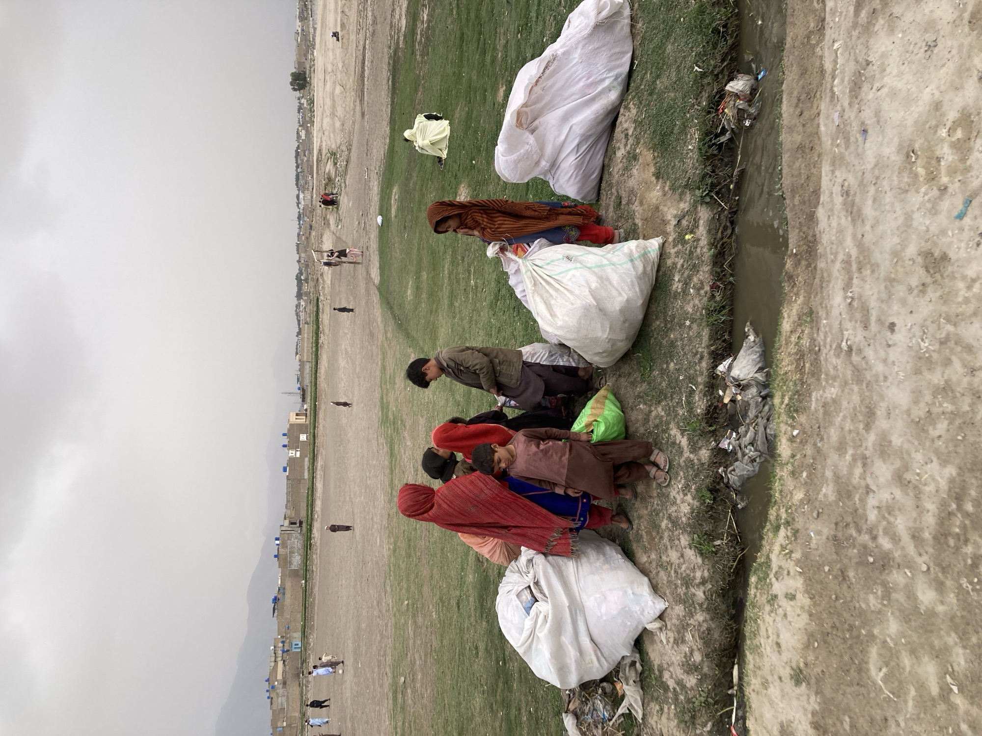 Children play around fallen trees in Quetta gathering