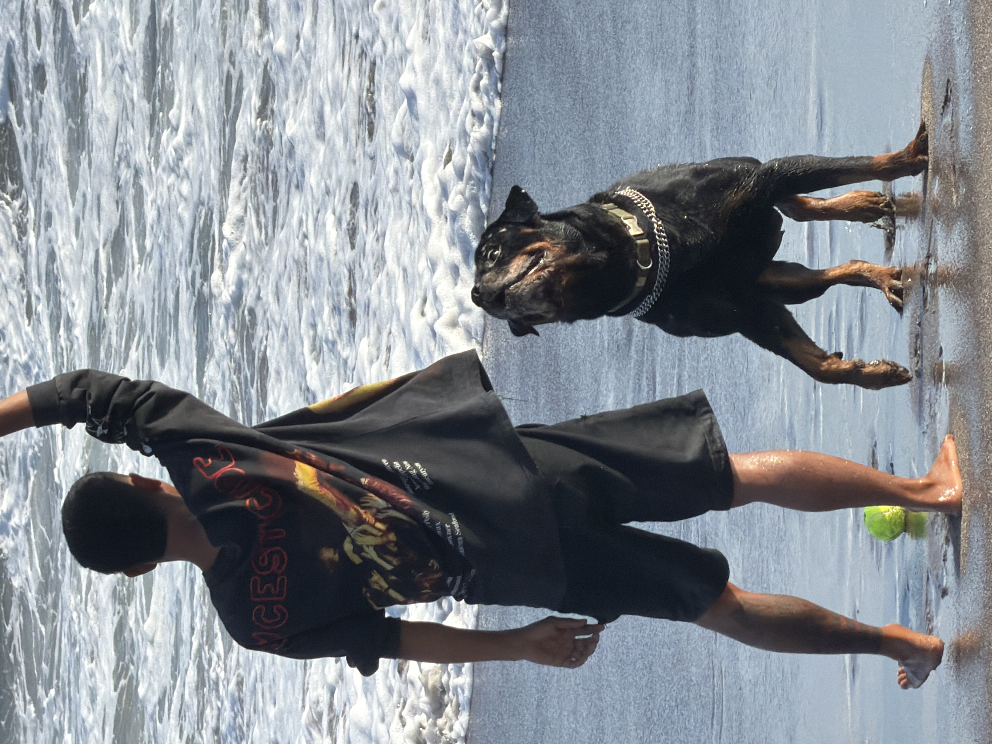 Morning beach outing with dogs on North Kuta's dark sand shore.