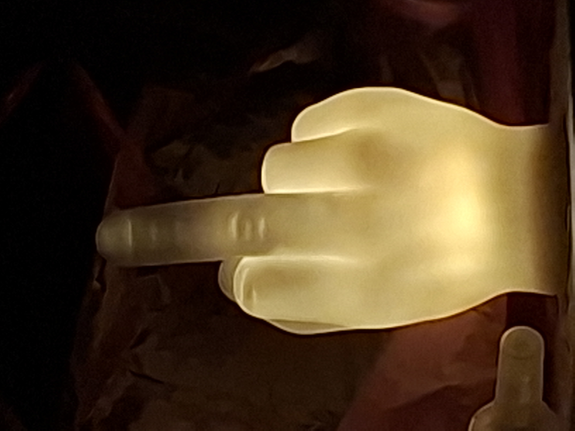 Glowing hand object and resting dog documented in Shumen