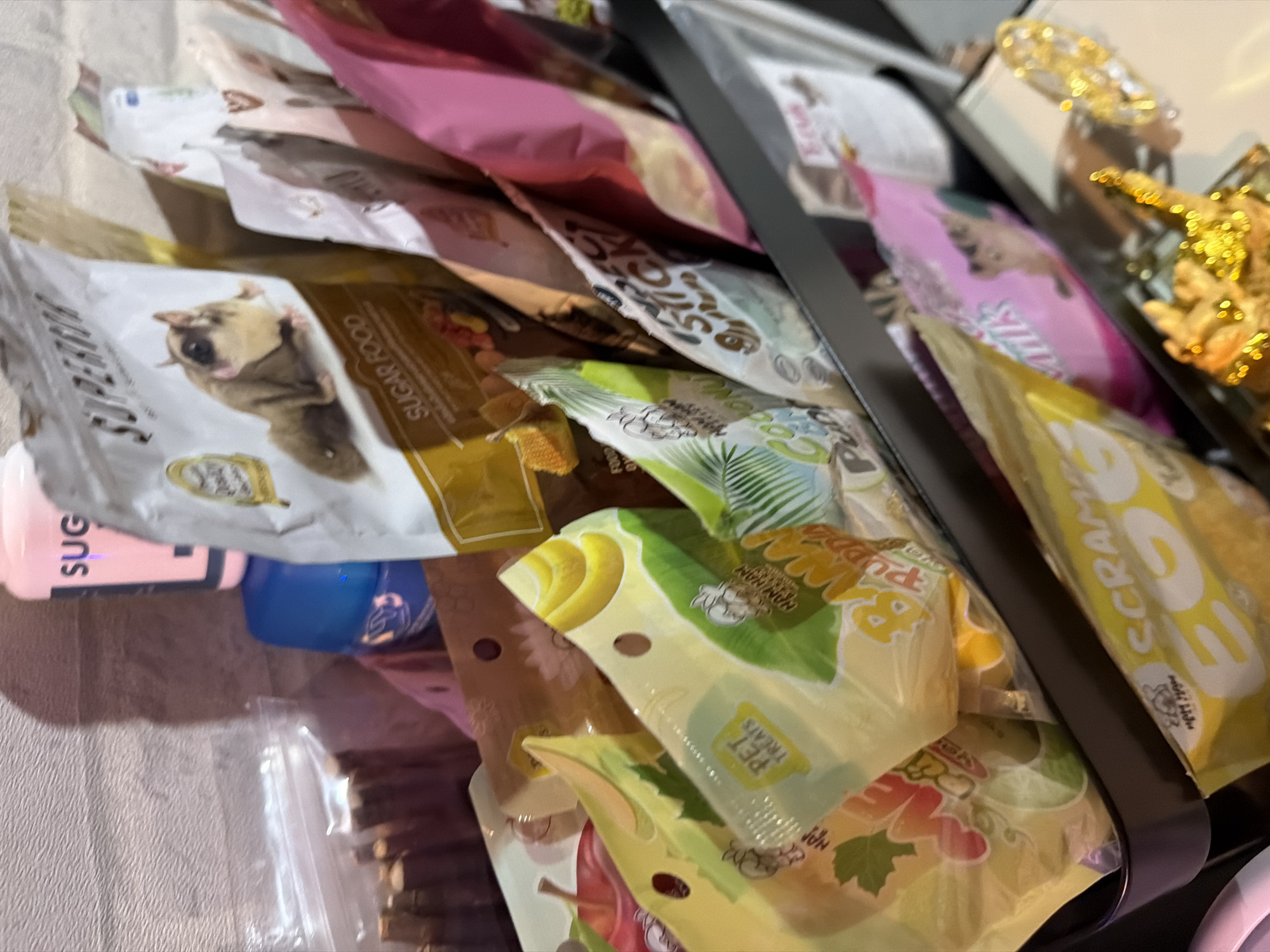 Bangkok resident documents evening domestic routine with pets and household items