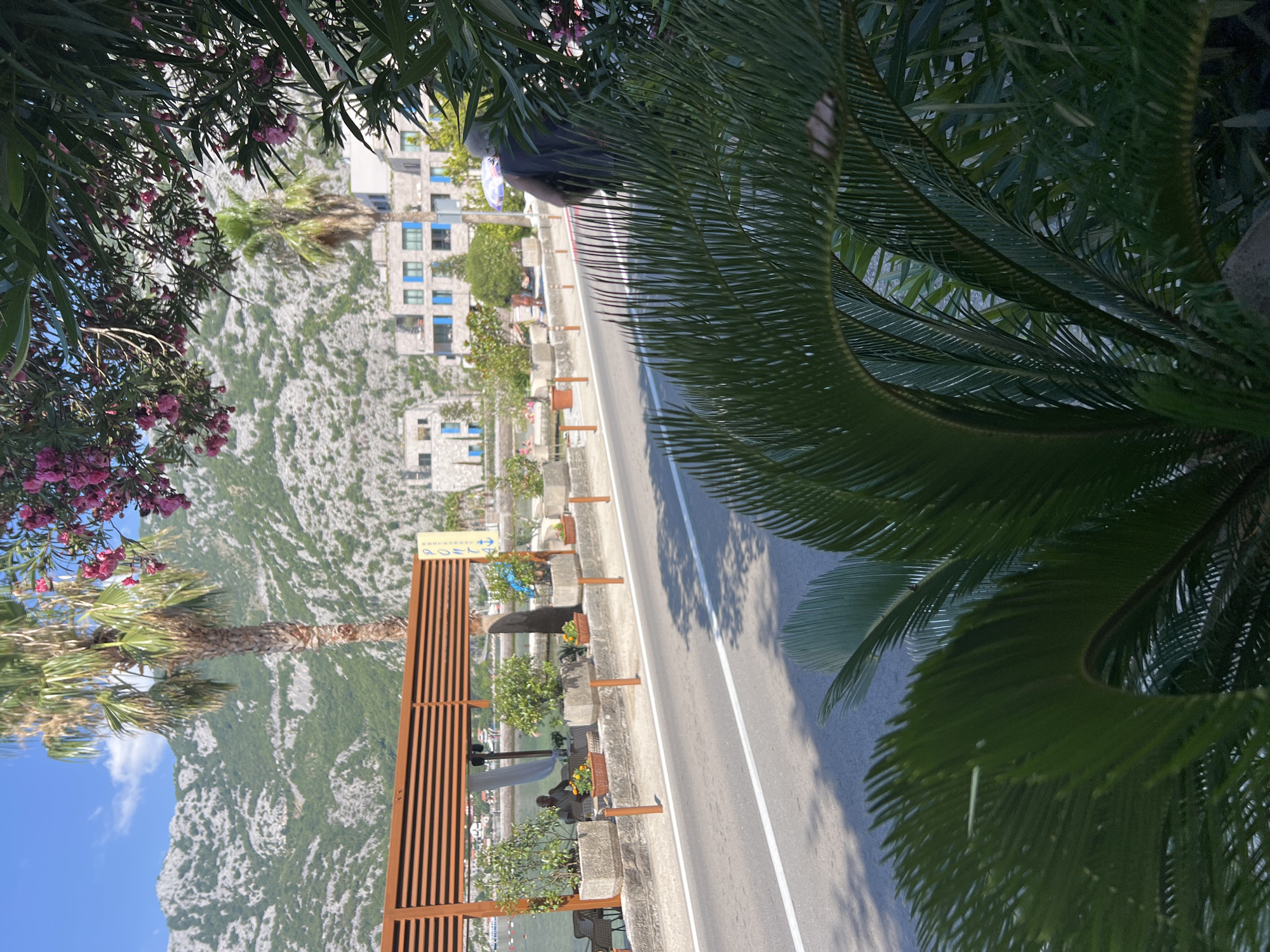 Risan's Bay of Kotor waterfront in full morning swing