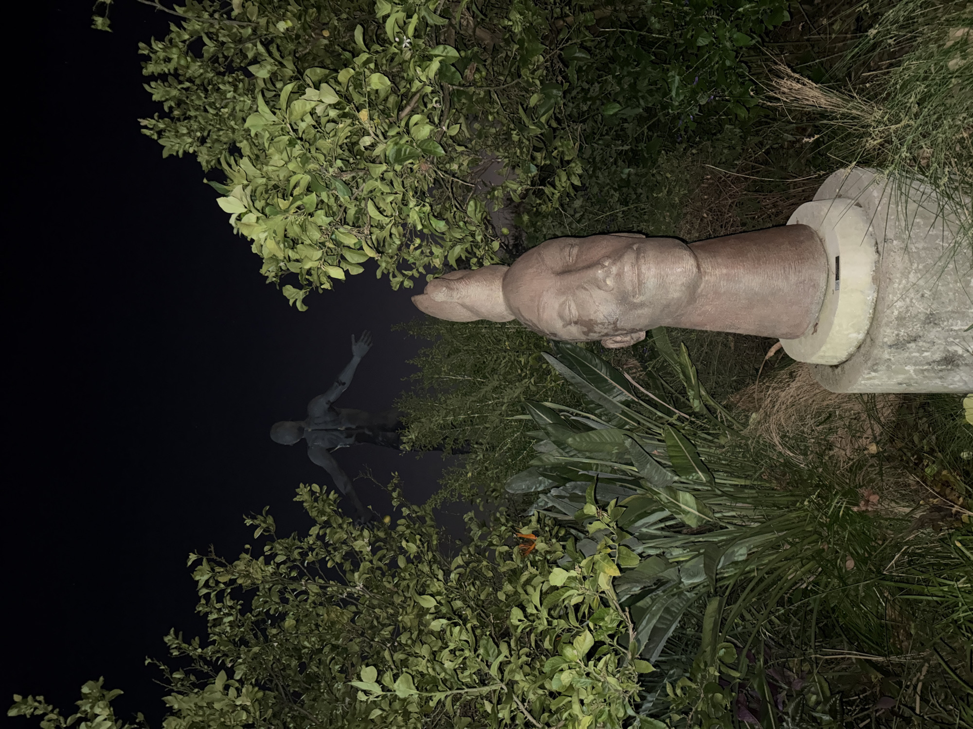 Outdoor sculptures documented in Cape Town park installation