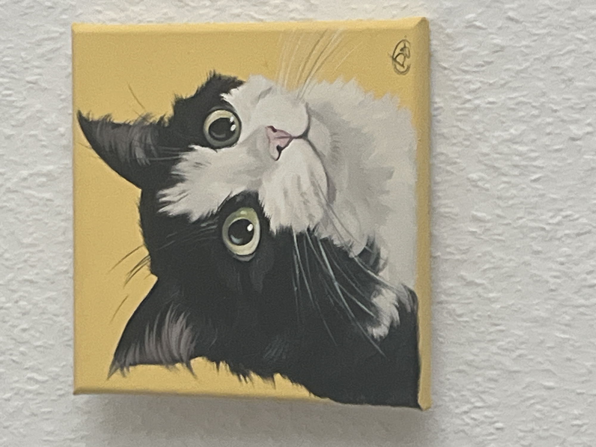 Cat paintings, collectible figurines, and blue skies in Hanover