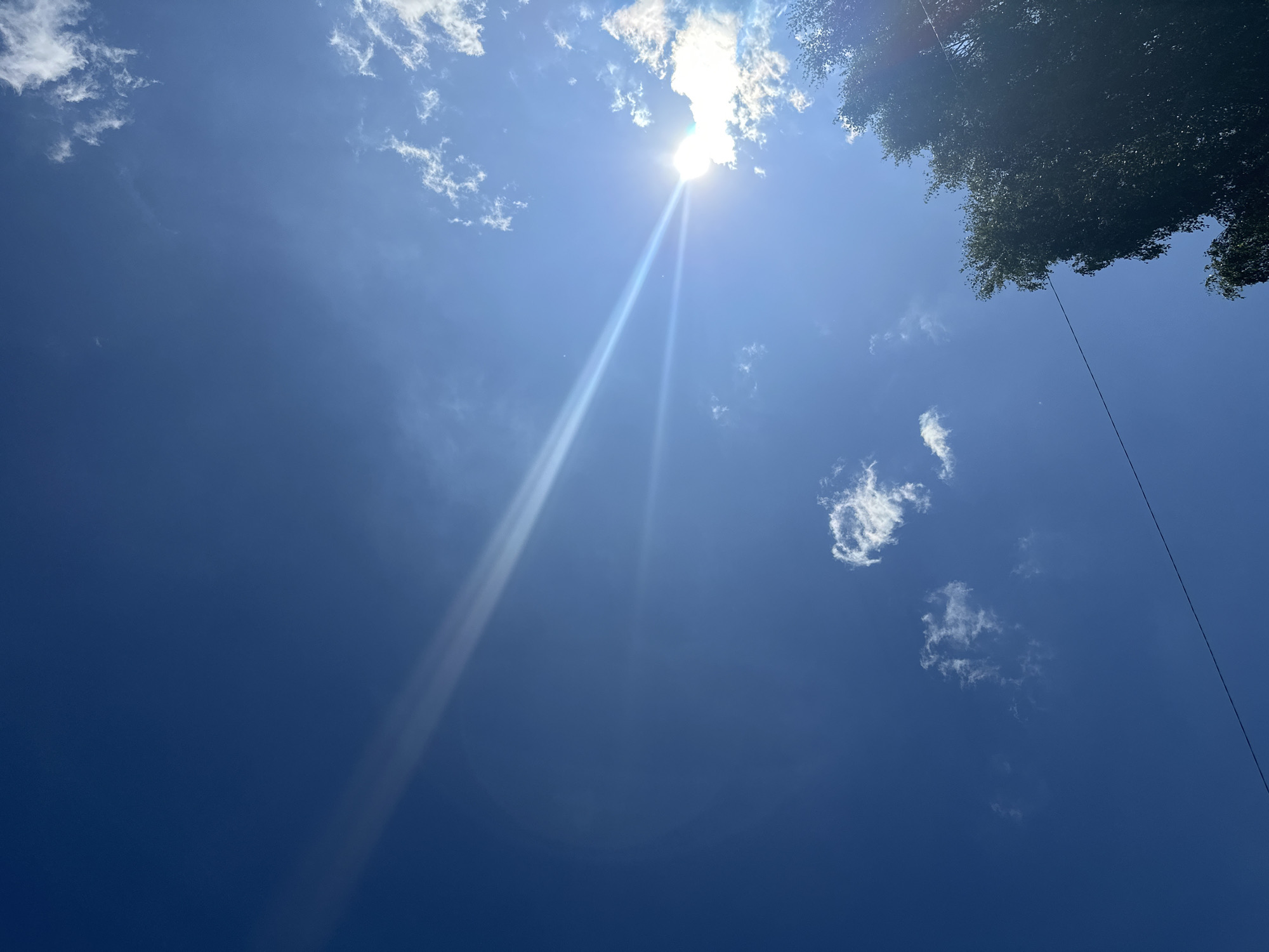 Clear summer sky over Plesetsk, shot through trees and sunlight