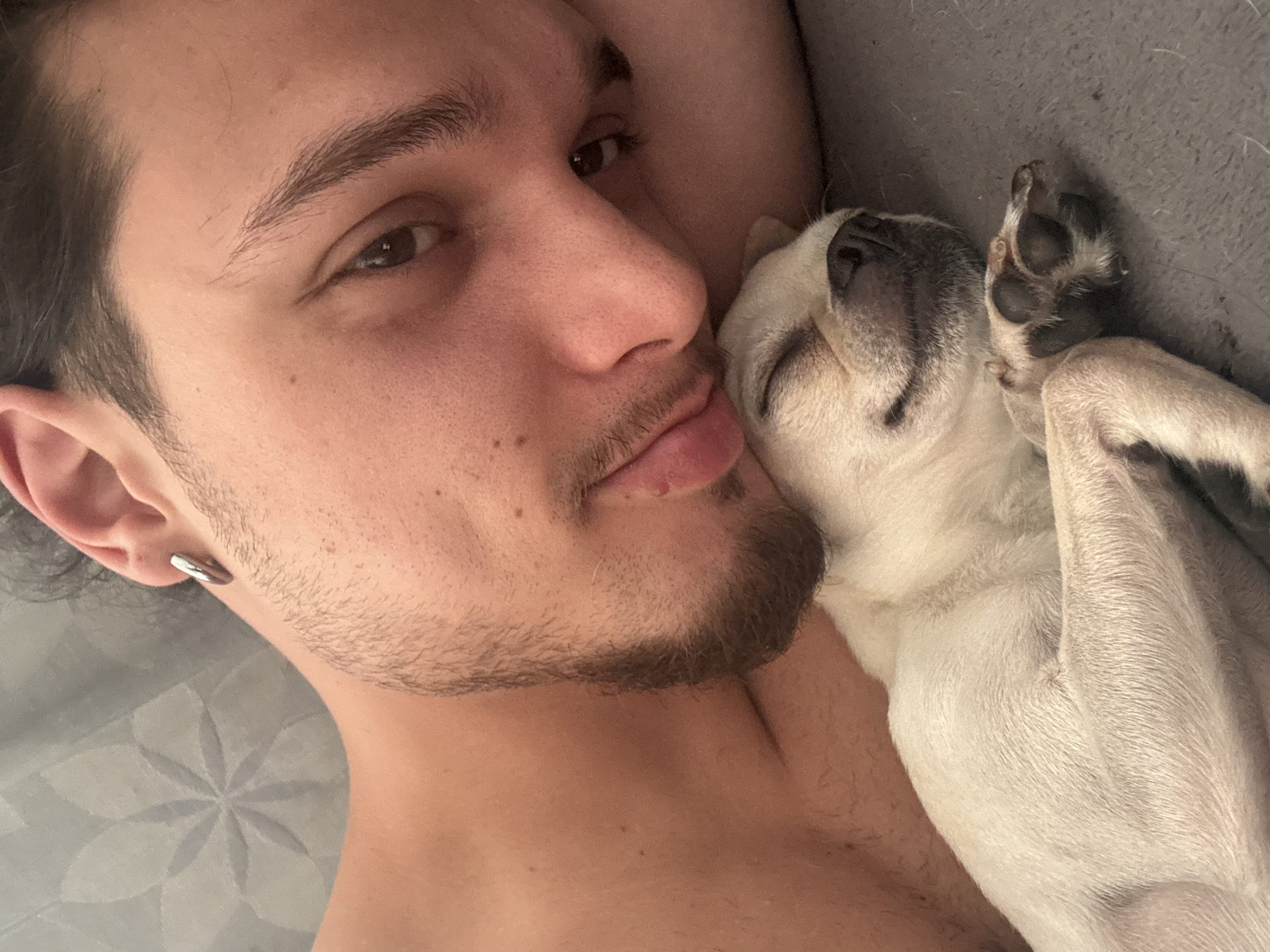 Chihuahua naps close with owner under a gray blanket