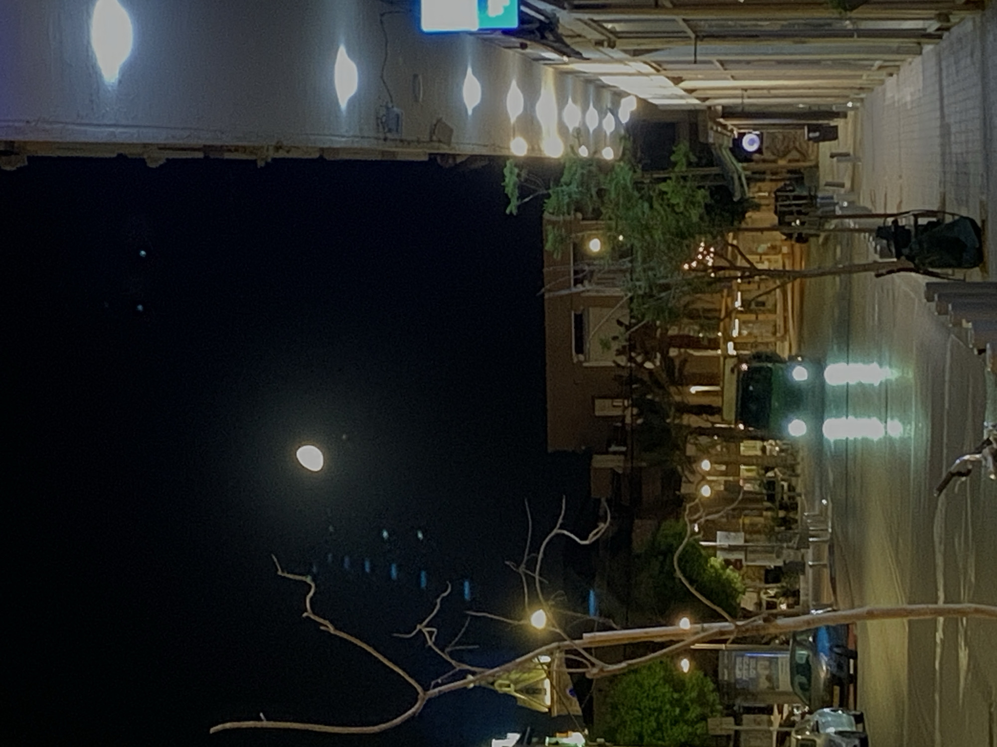 Nighttime street scene captured in Tel-Aviv with full moon
