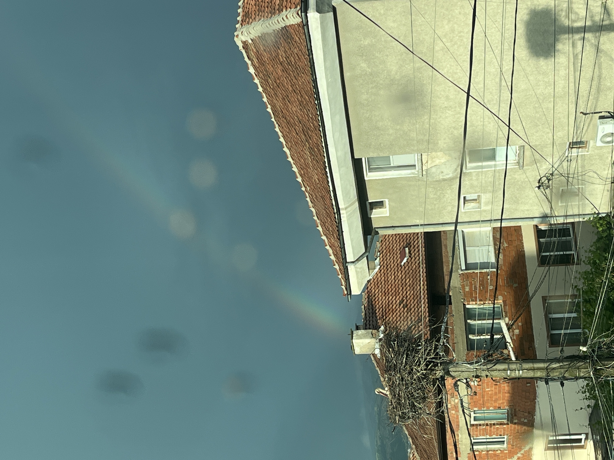 Storks, rainbows, daily life documented in Bulgarian village