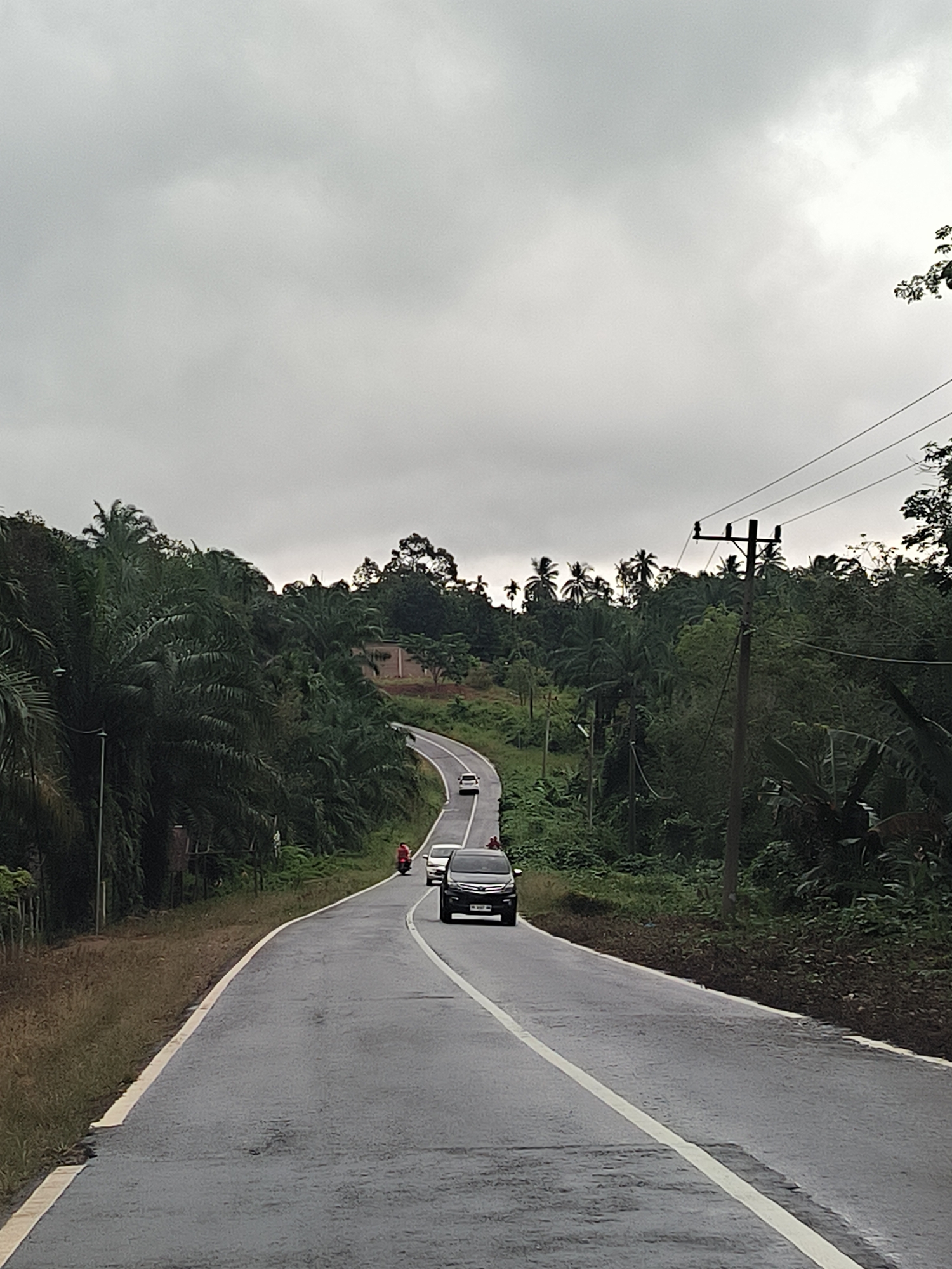 Palm oil harvest day on a rural Aceh road