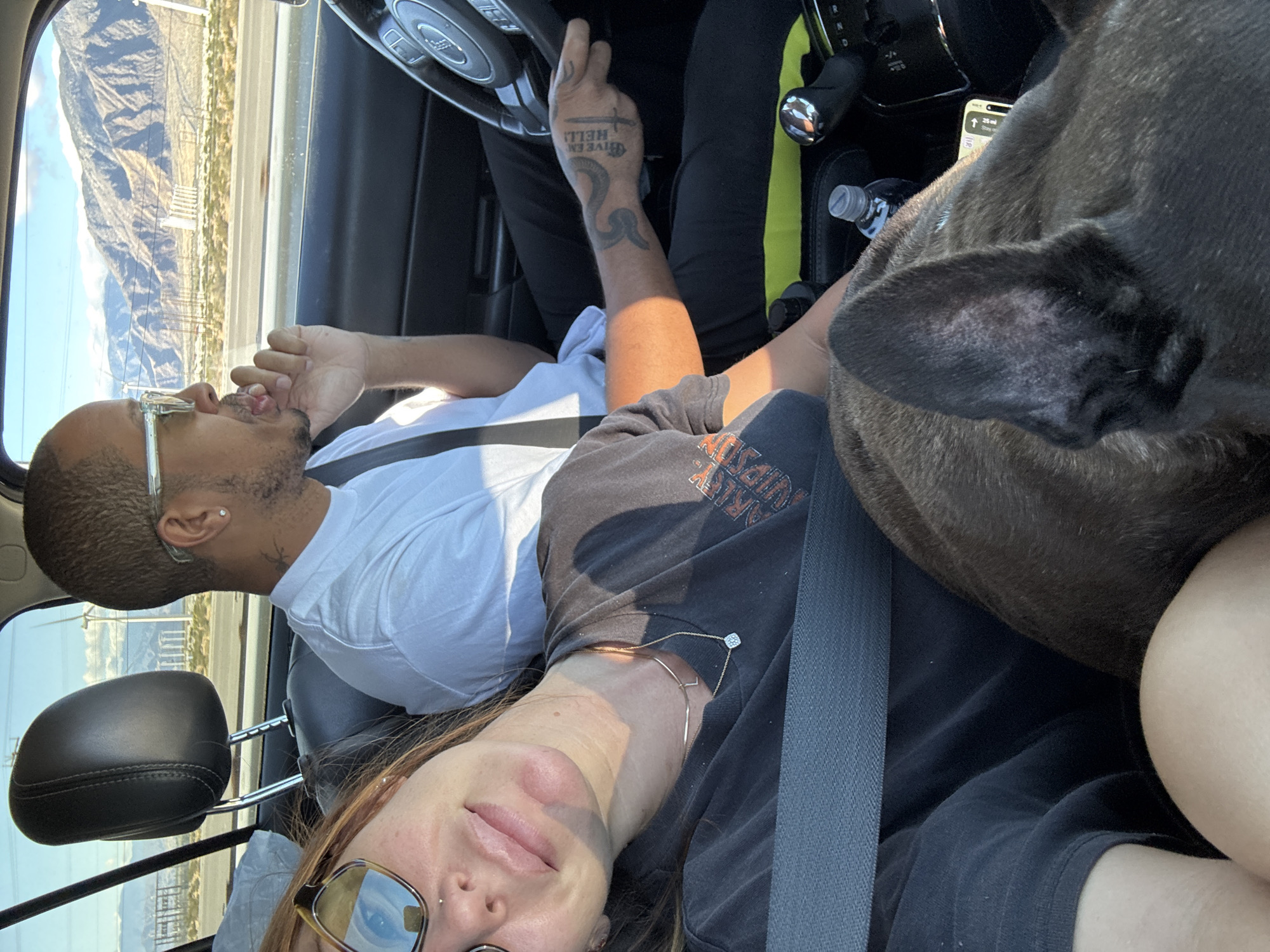 Family with dog travels highway in Palm Desert