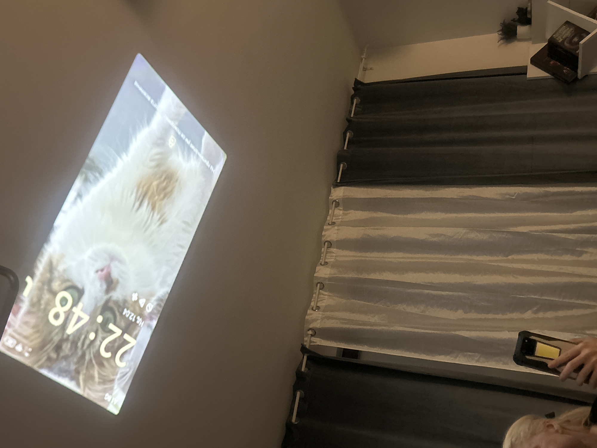 Sofia resident documents cat projection, Easter basket, Harry Potter decor
