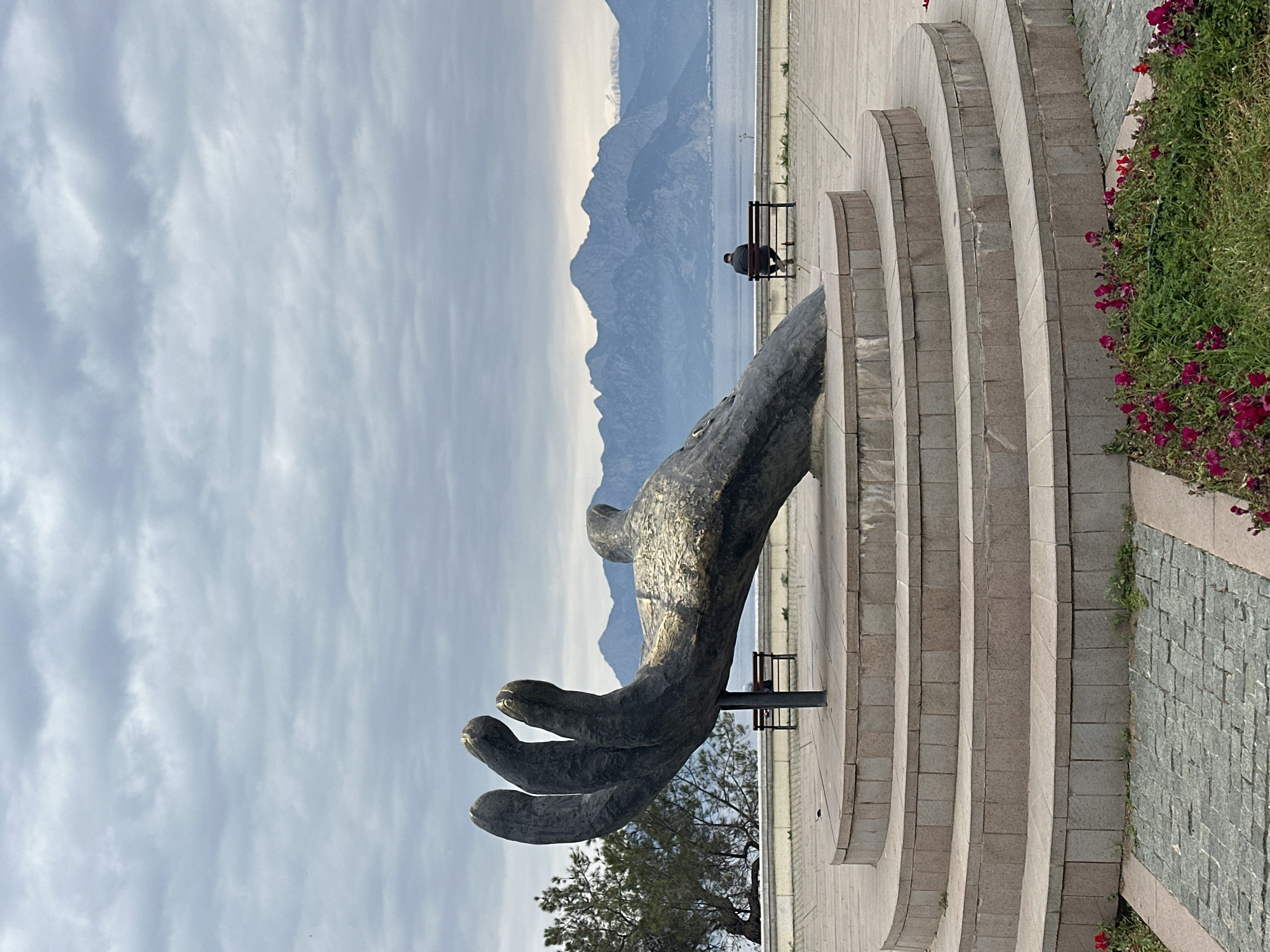 Morning scenes captured in Antalya: sculpture, cat, coastline