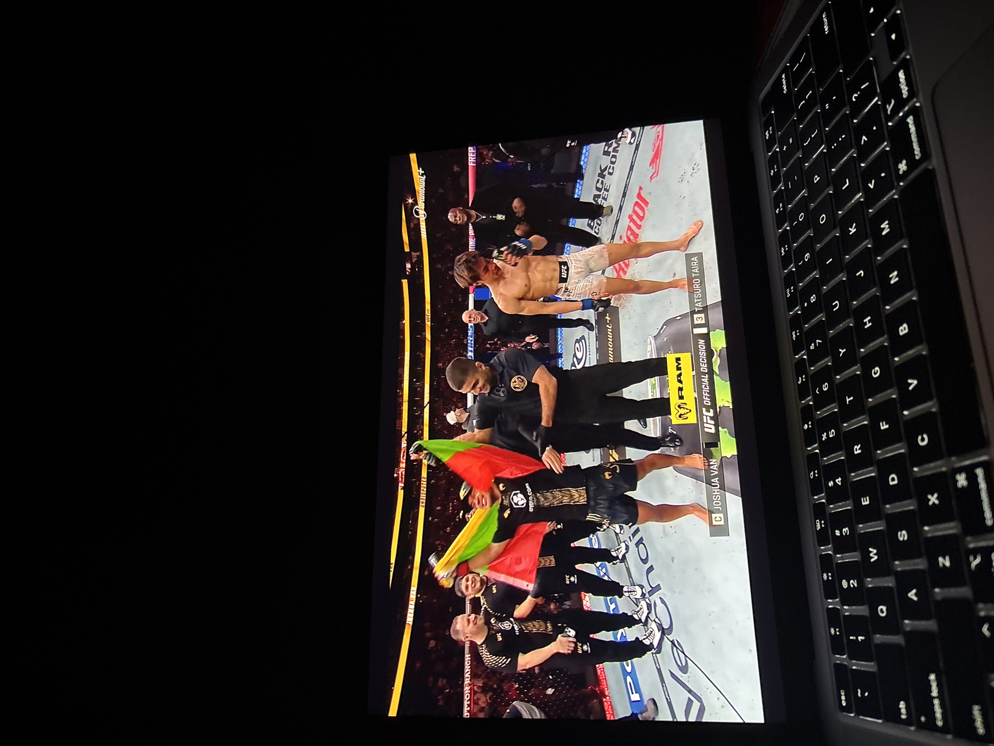 Group celebrates with flag while watching UFC fight in Spain
