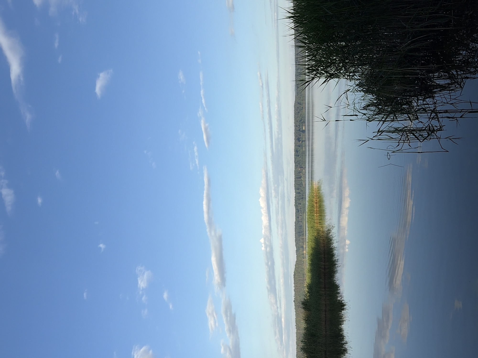 Lakeside camp with metal detecting, fishing, and quiet water scenes
