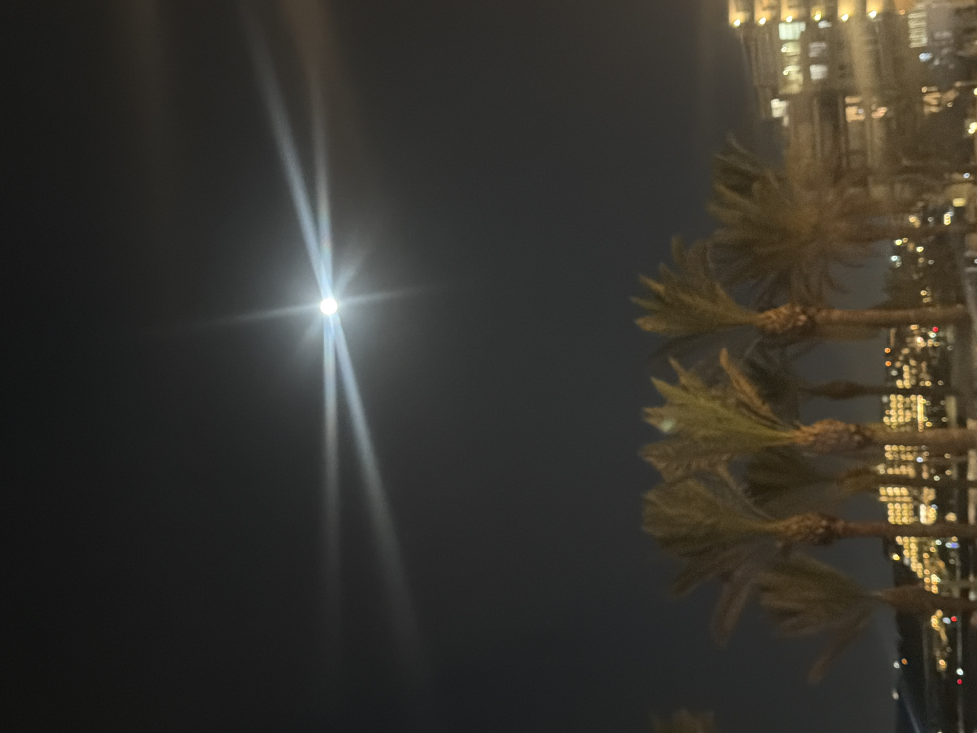 Moonlit palm trees illuminate Saint Paul's Bay waterfront