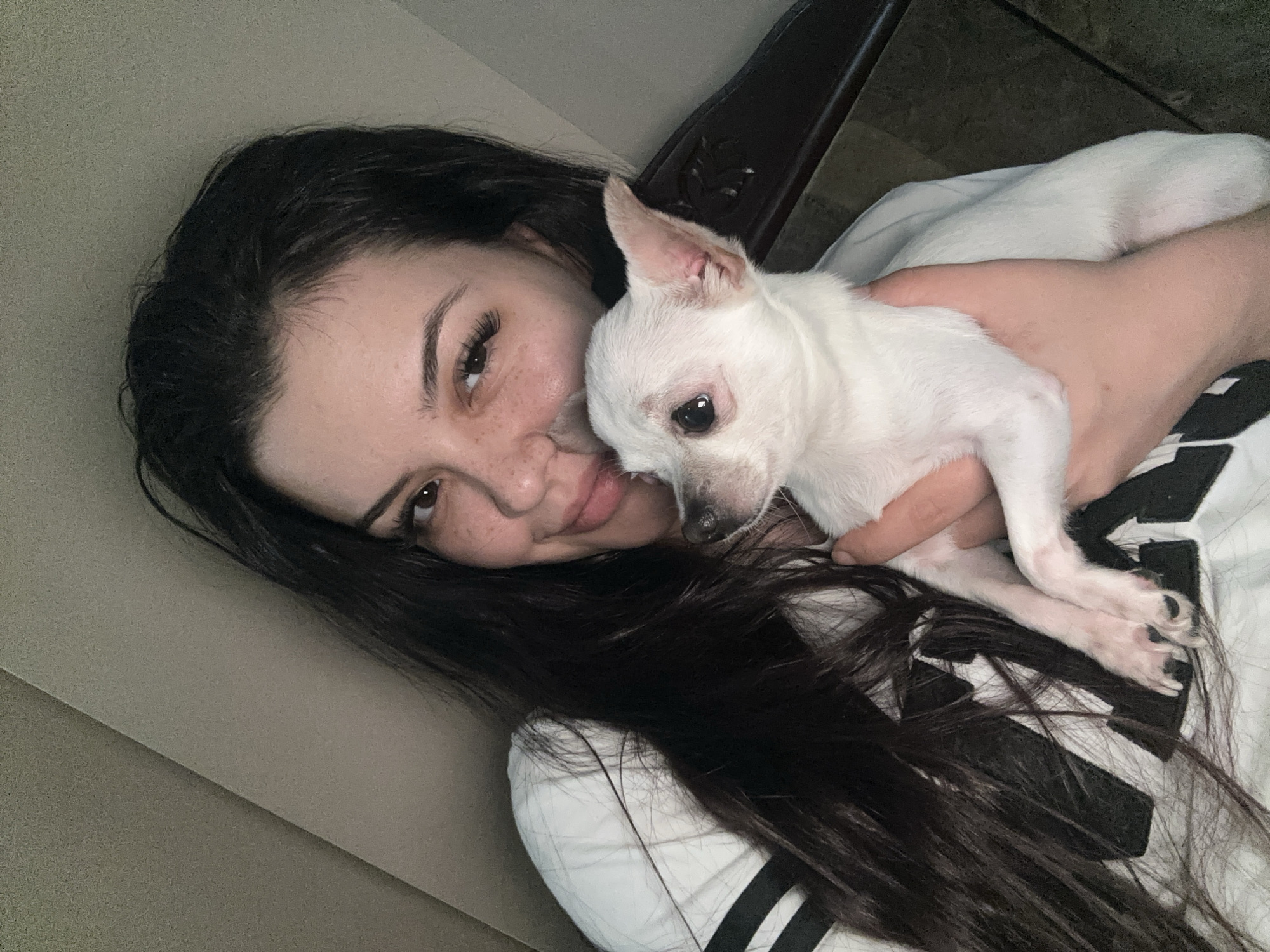 Woman takes extended selfie session with Chihuahua in Bulgaria