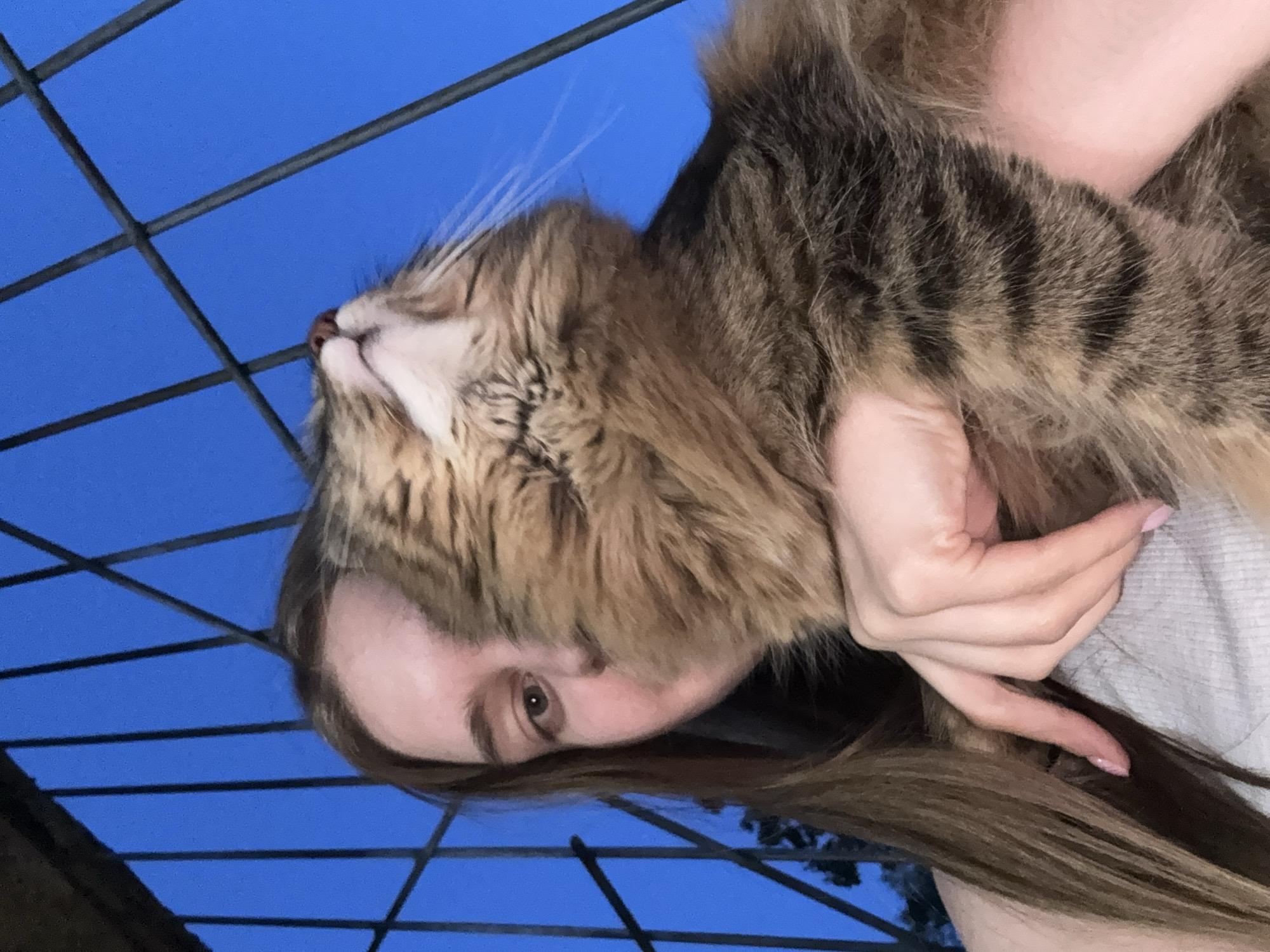 Woman and tabby cat captured in casual moments, Perm