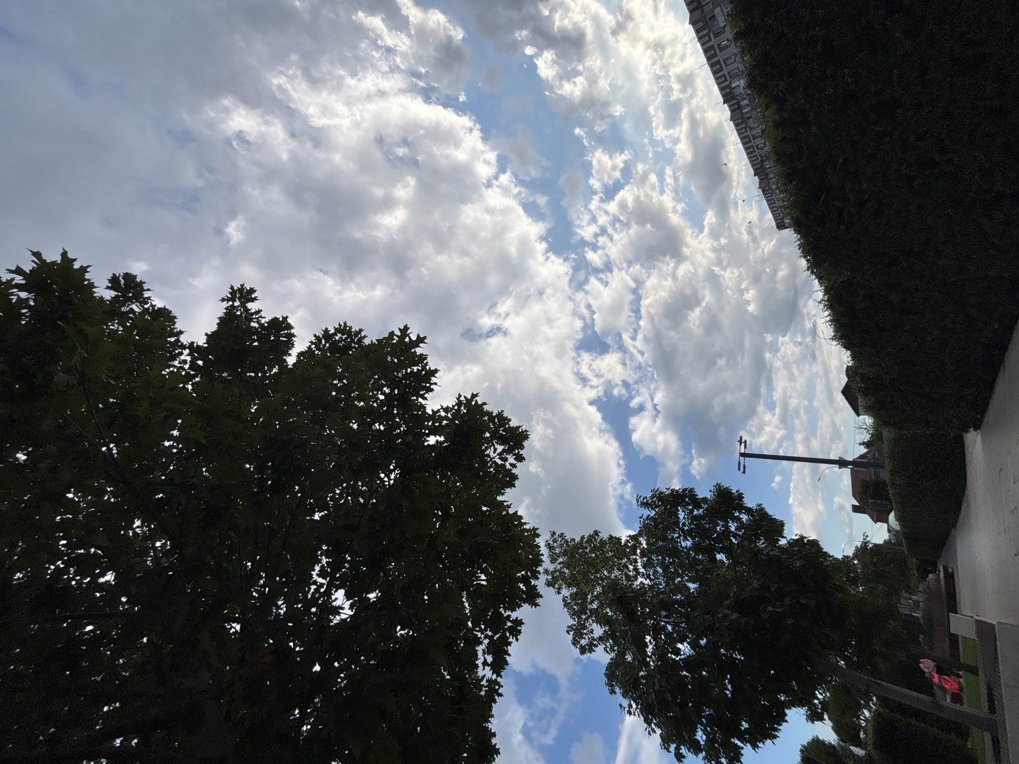 Afternoon stroll through Krasnodar's Galitsky Park walkway