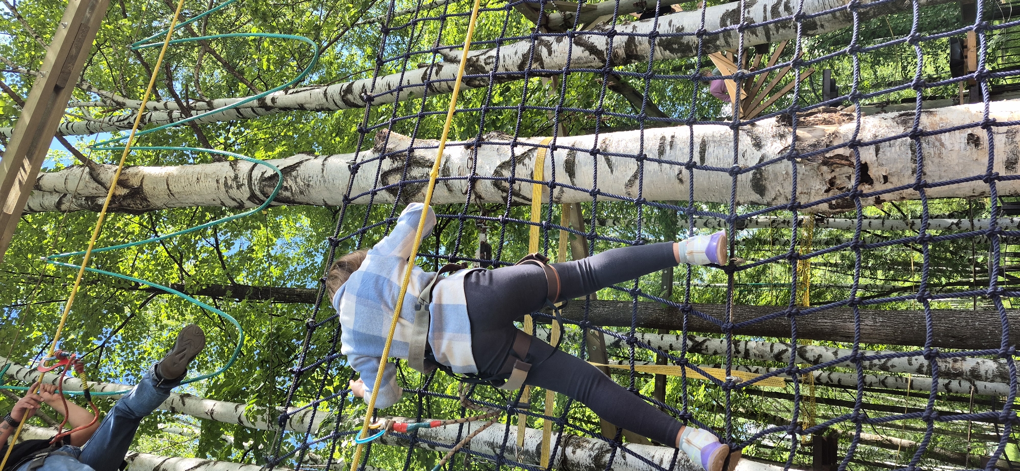 Woman completes aerial rope course at outdoor adventure park