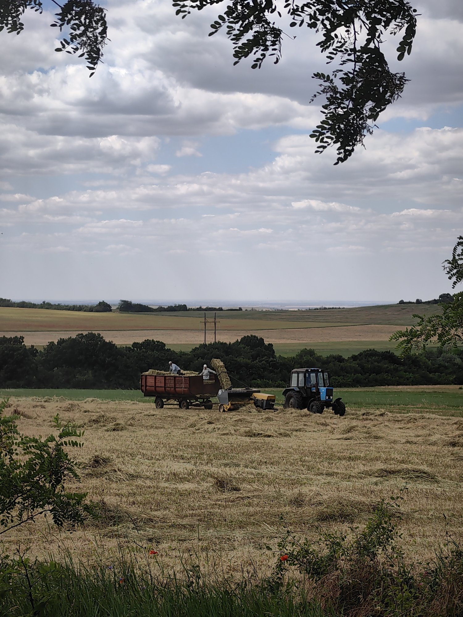 Hay season in a Crimean village, with rubles and a bike nearby