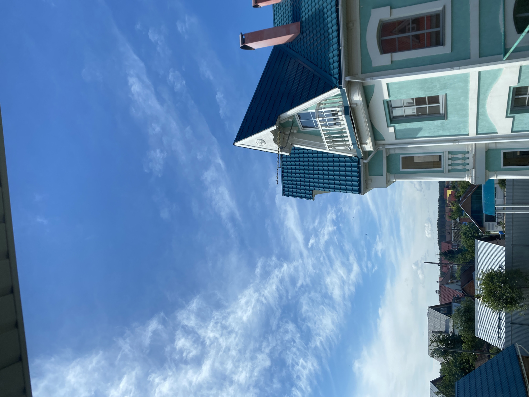 Morning observations document Chaikovsky residential area and bee pollination