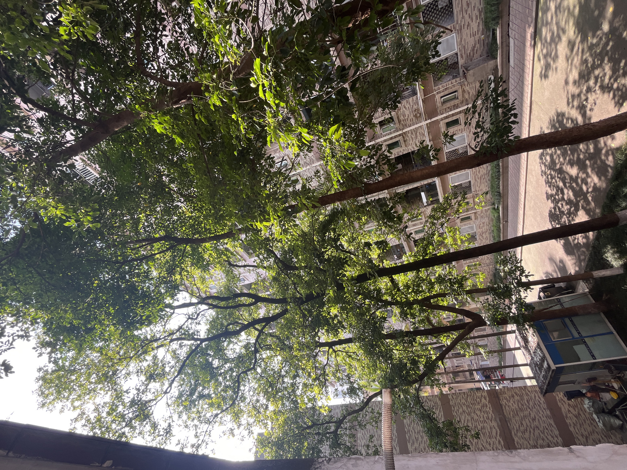 Morning life documented across Yuzhong District residential areas
