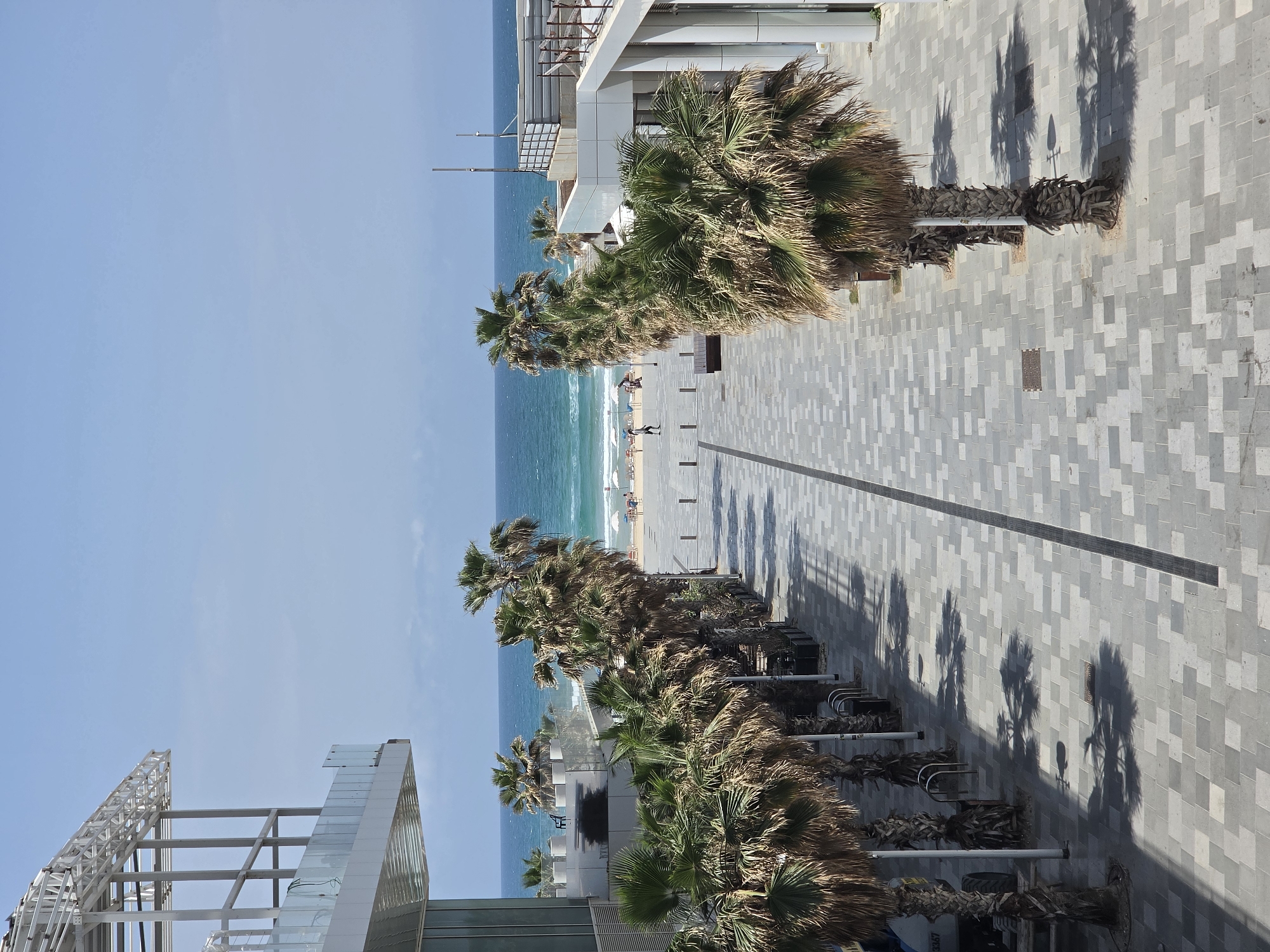 Morning beachgoers enjoy palm-lined walkway in Bat Yam