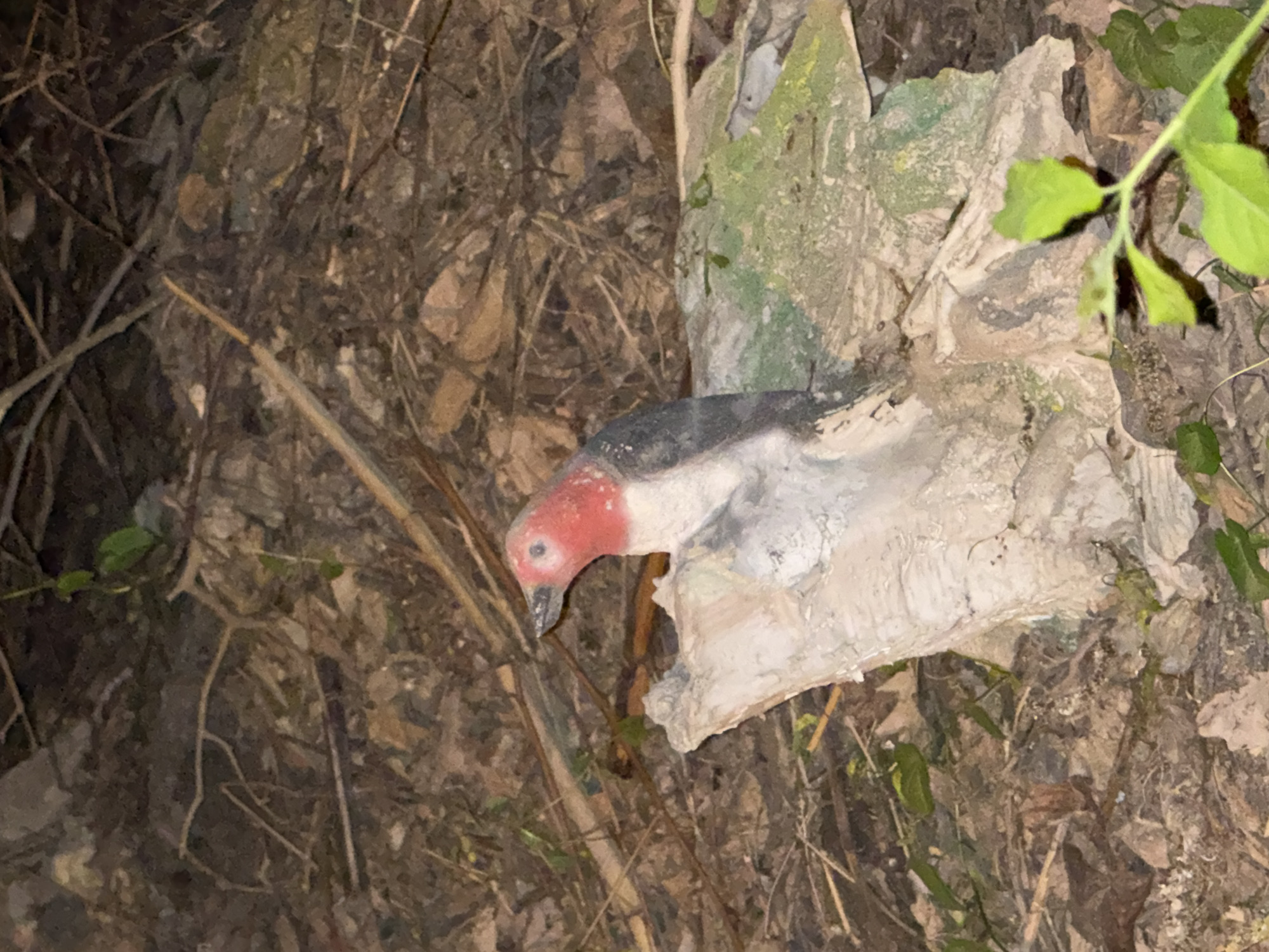 Bird sculpture spotted in tree stump in Russian town