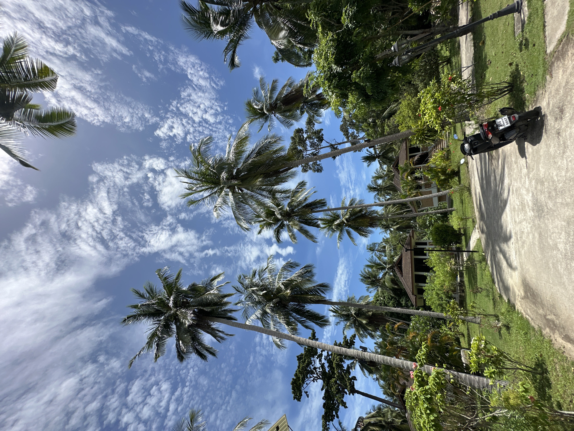 Morning stroll captured along tropical resort pathway in Thailand