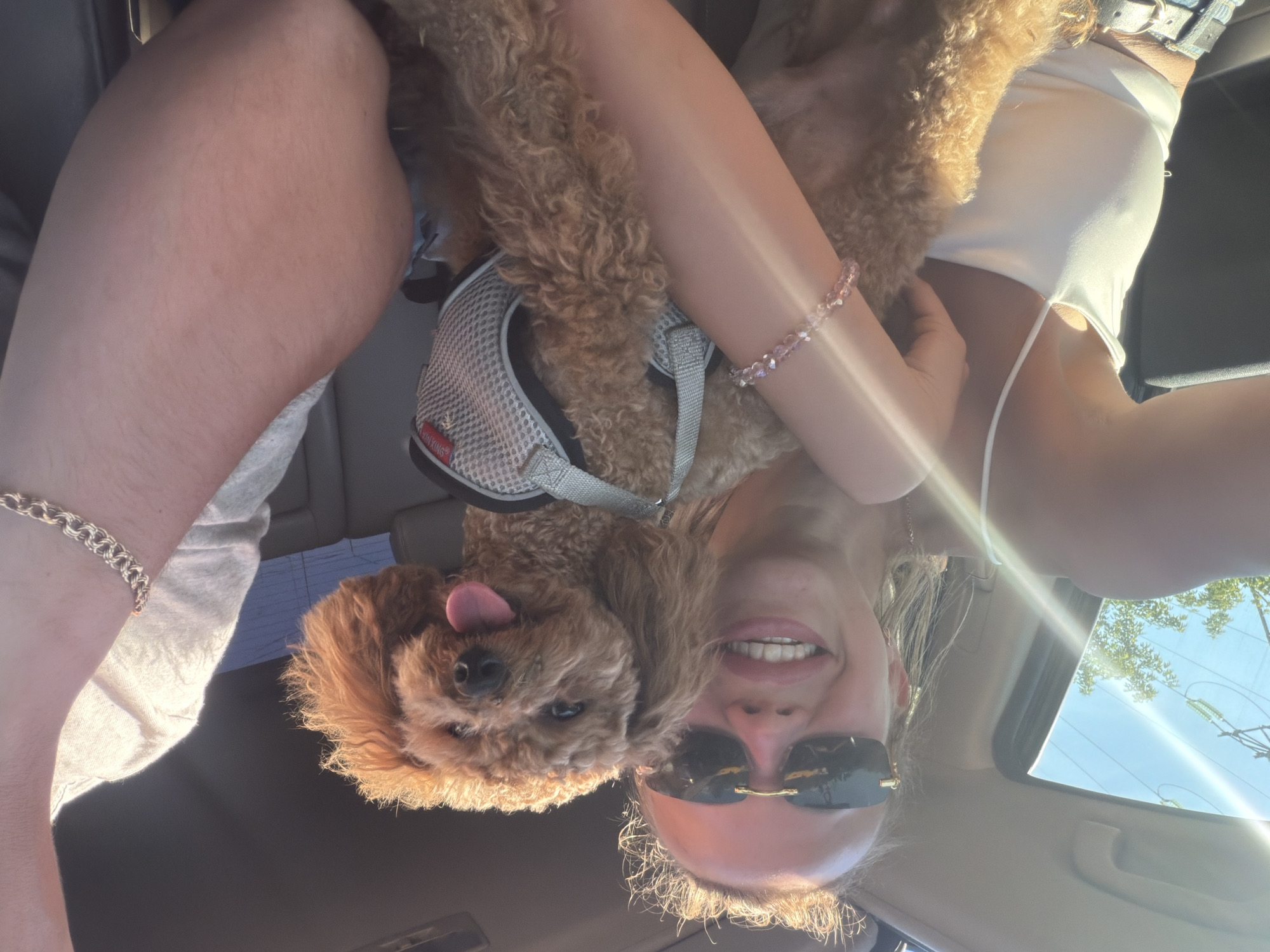 Cruising Kyiv with a poodle, sunroof open on a summer afternoon