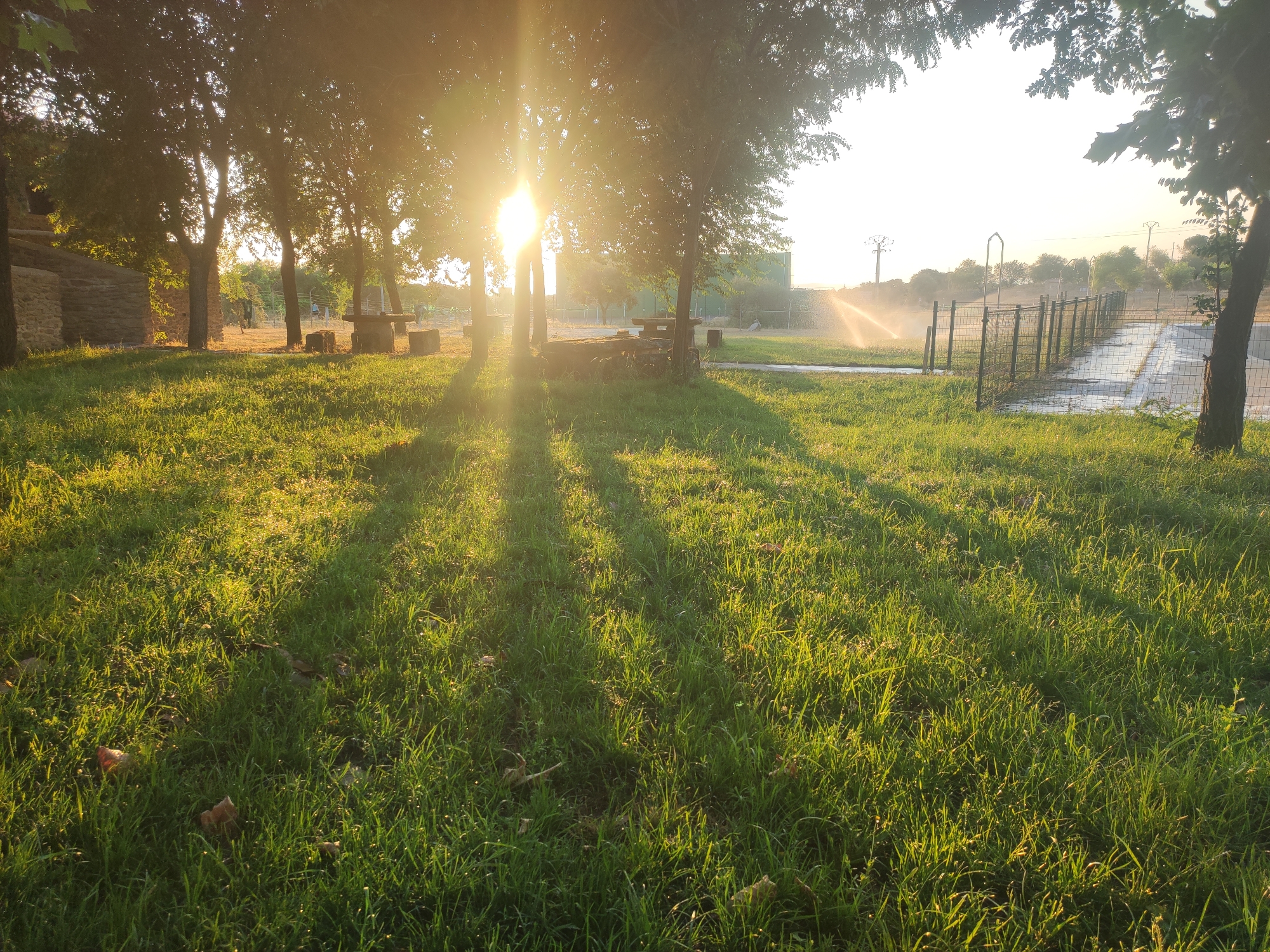 Sunset over a Sobradillo park with sprinklers running