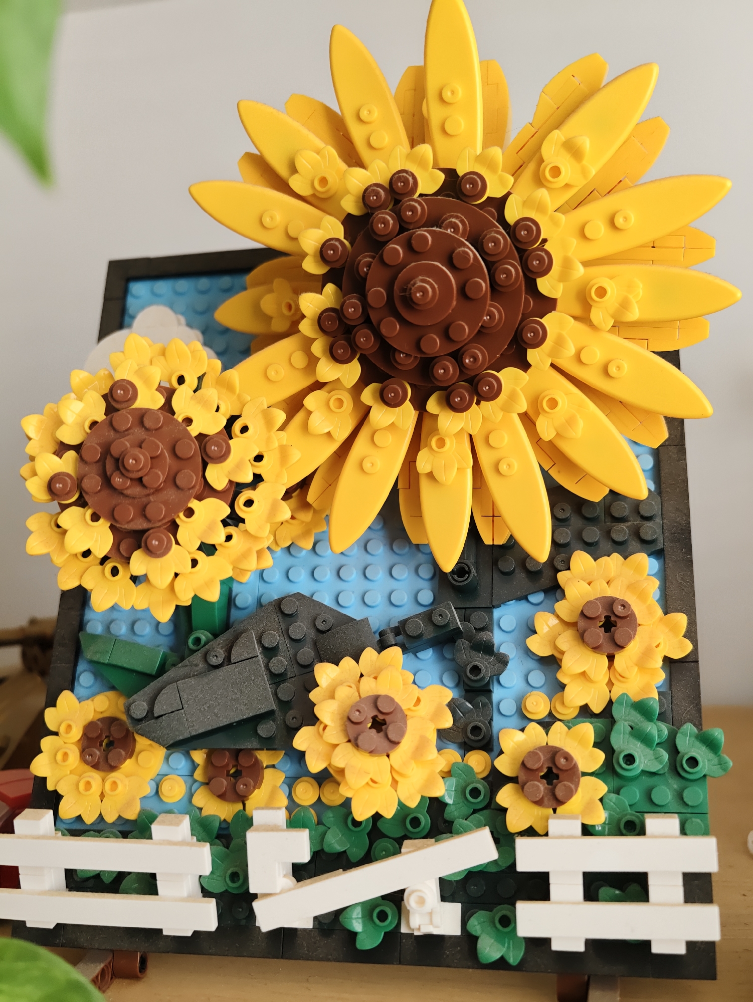 Home afternoon in Petah Tikva: cats, roses, and Lego
