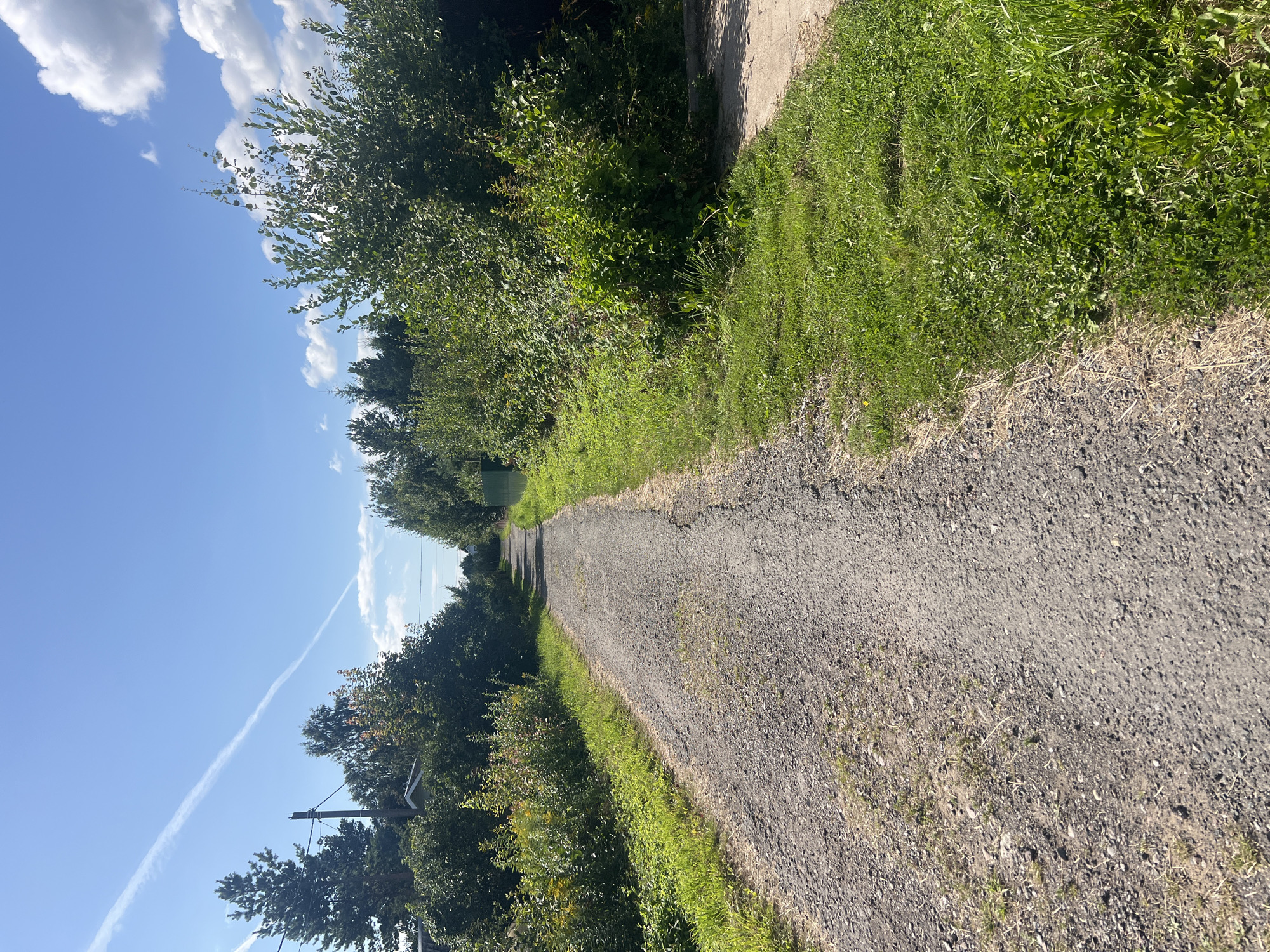 Summer stroll through Imeni Morozova with a Pomeranian in tow